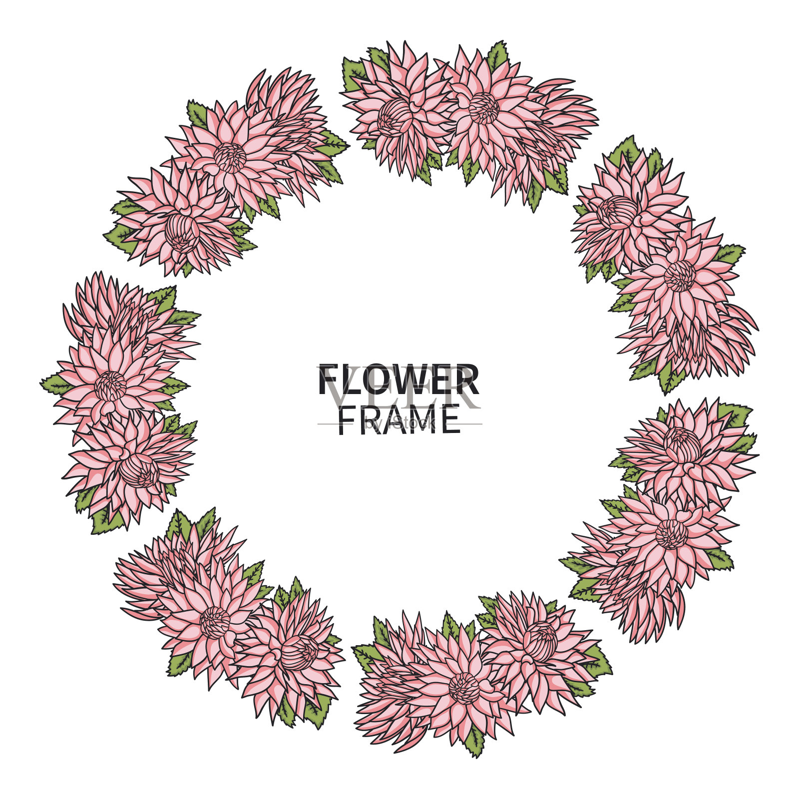 菊花框架。贺卡和请柬花圈印刷。美丽的花束与粉红色的紫菀。婚礼、母亲节等节日主题。插画图片素材