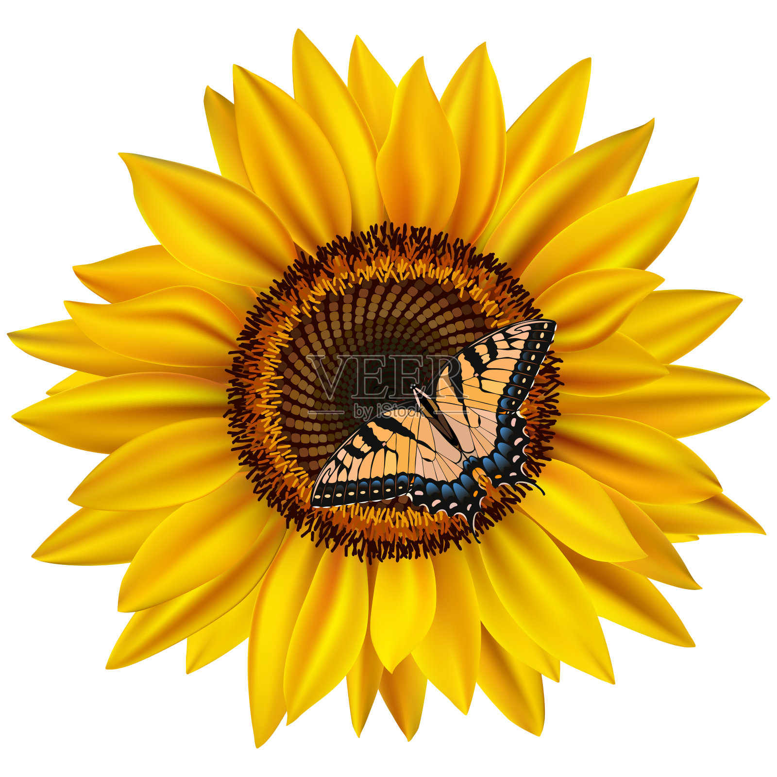 向日葵和燕尾蝶设计元素图片