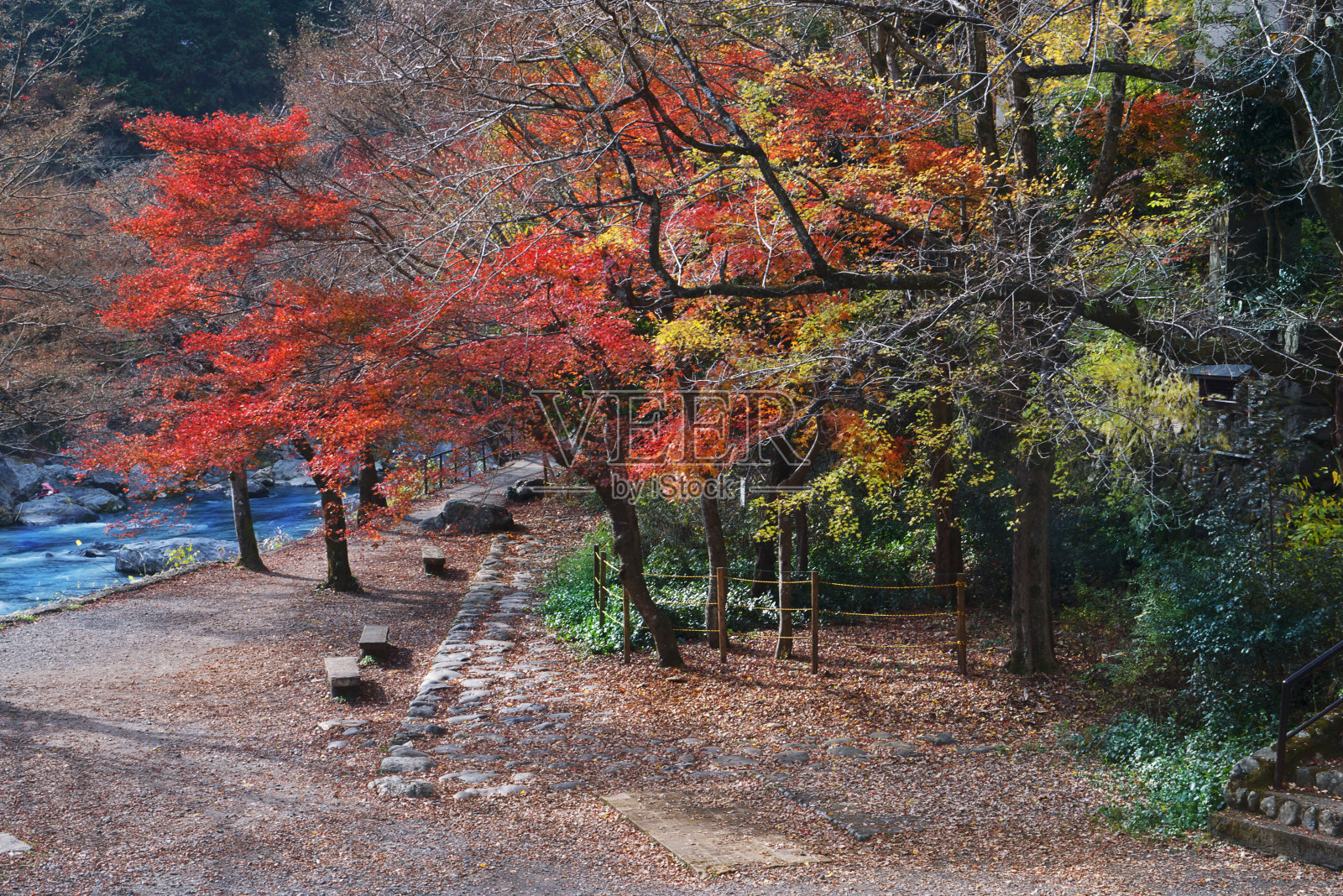 日本奥俣秋景系列照片摄影图片