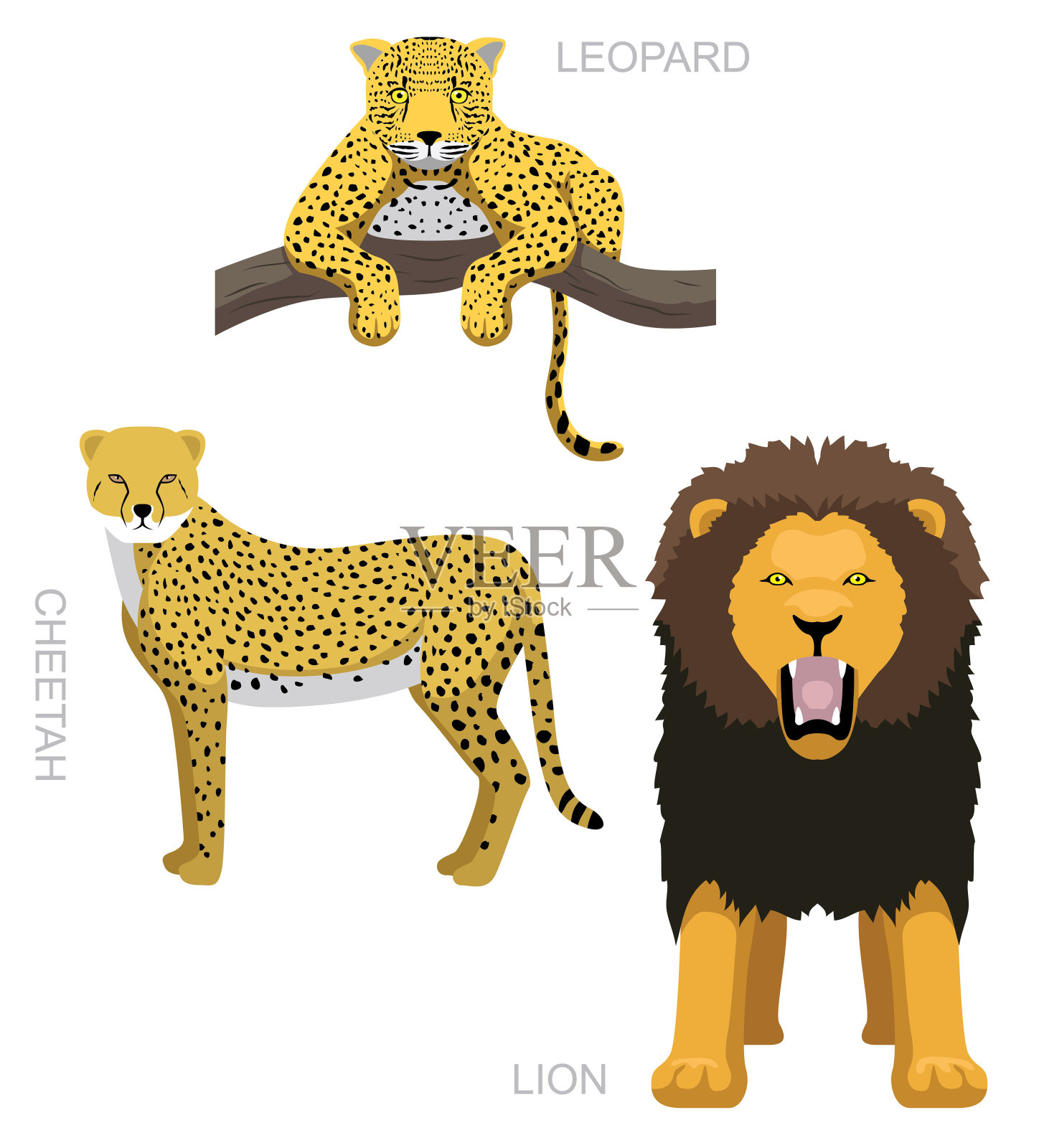 野猫豹狮猎豹卡通矢量插图插画图片素材