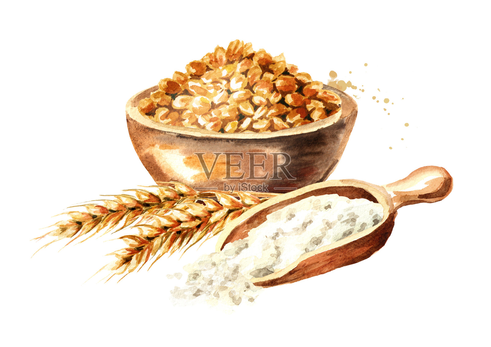 一碗谷物，麦穗，一勺面粉。水彩手绘插图，孤立的白色背景插画图片素材