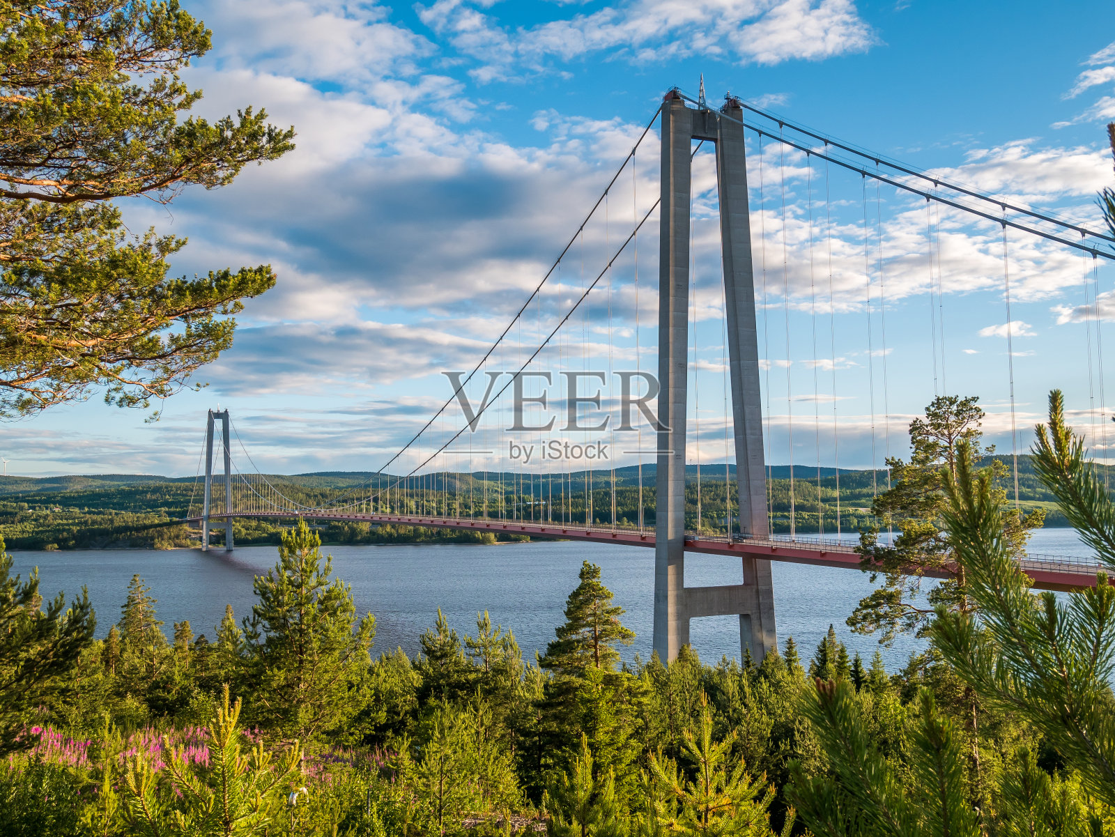 “HÃ¶gakustenbron”或瑞典北部的高海岸桥，就在HÃ rnÃ¶沙或Harnosand是斯堪的纳维亚半岛最长的悬索桥之一。照片摄影图片