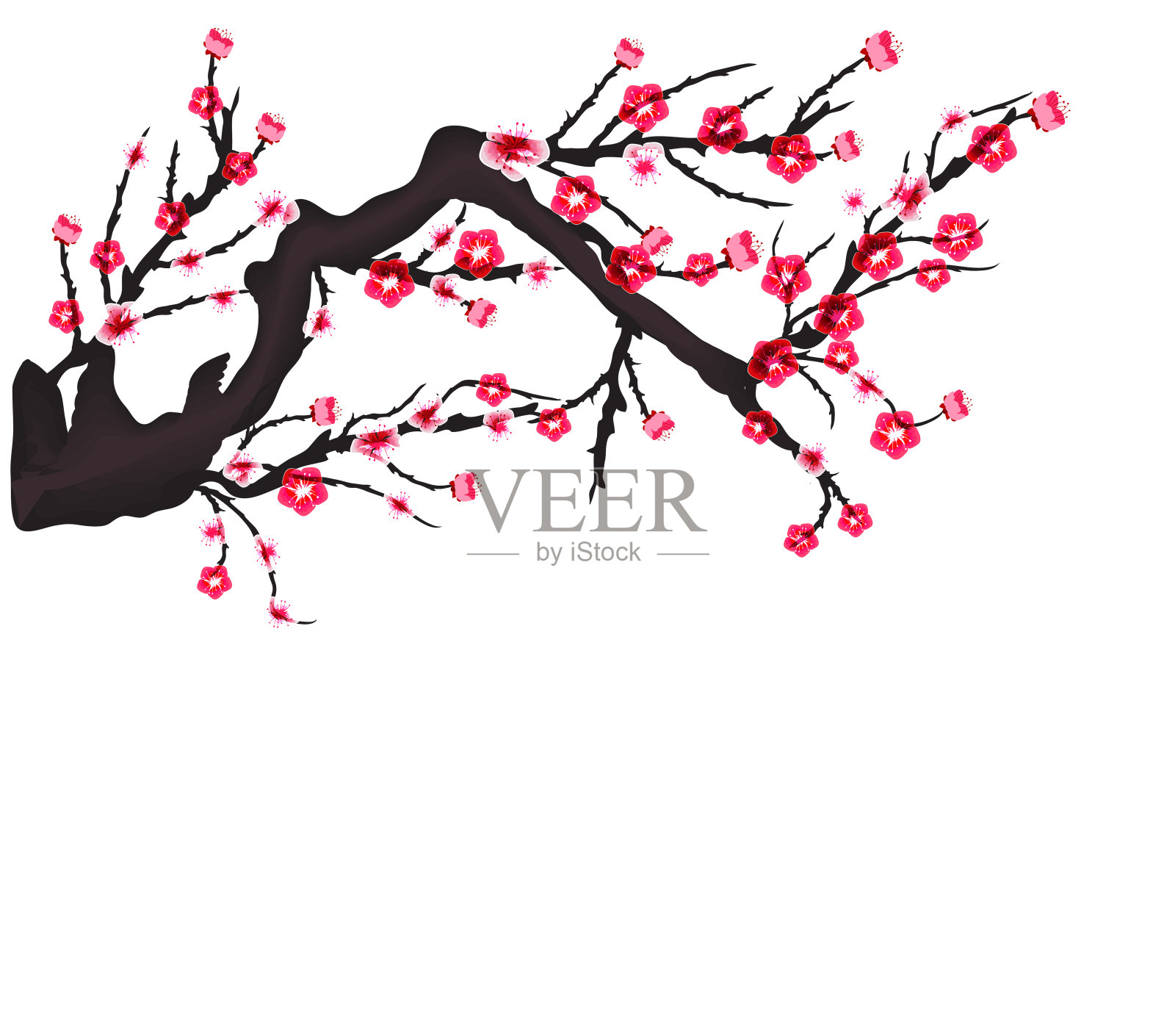 矢量樱花为中国新年和中秋节插画图片素材