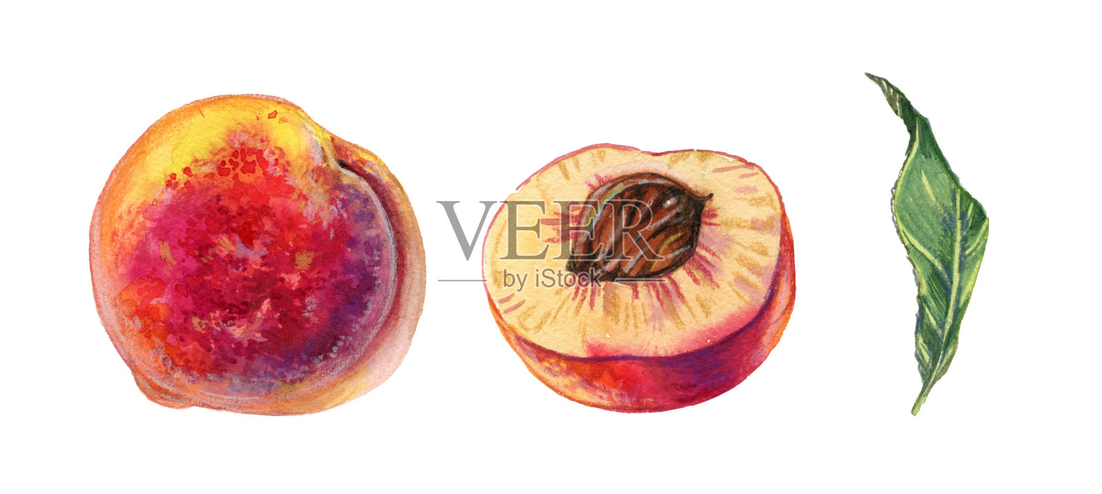 手绘水彩写实桃子与半水果和树叶插画图片素材