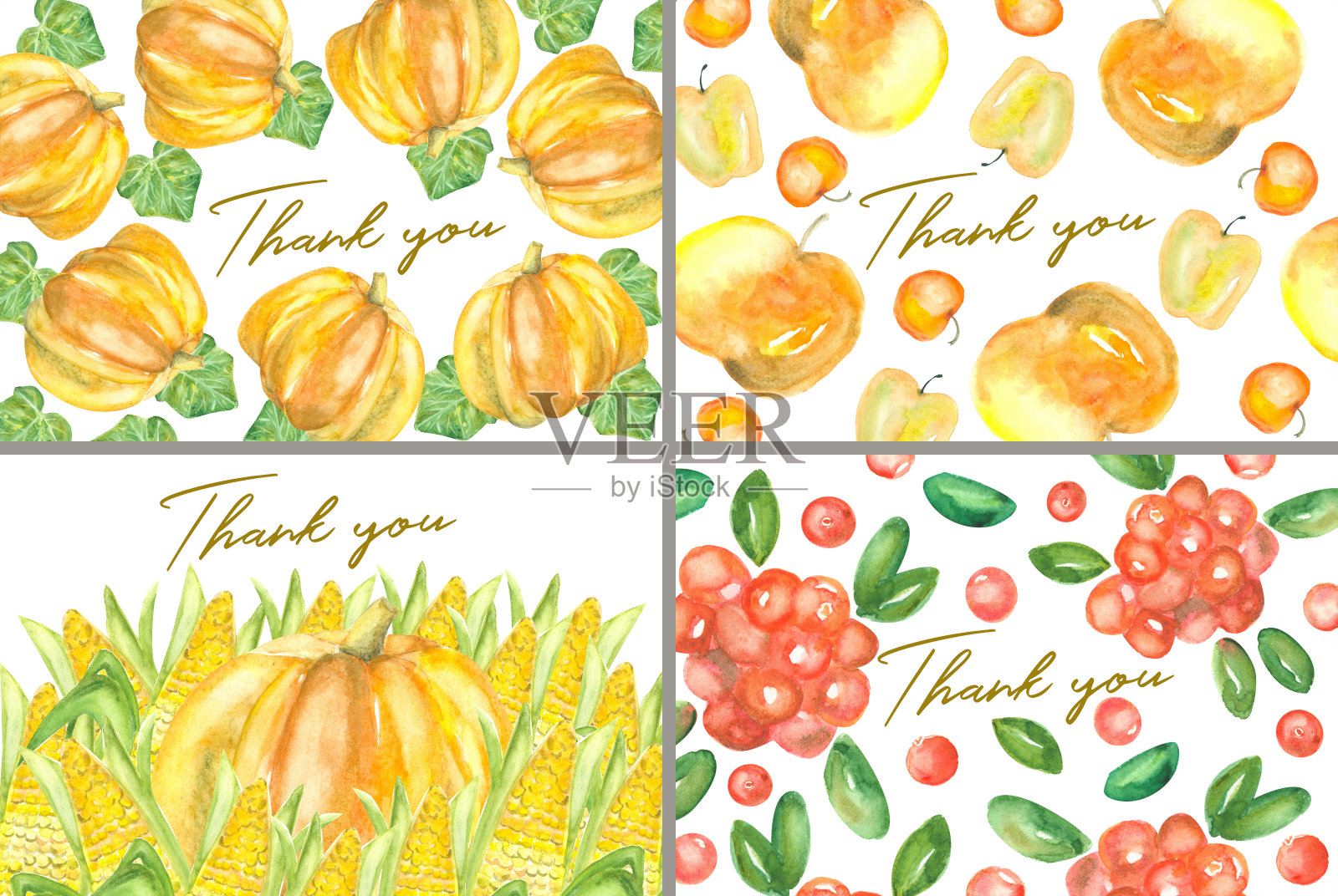 一套四张用不同的秋季水彩作物装饰的感谢卡设计模板素材