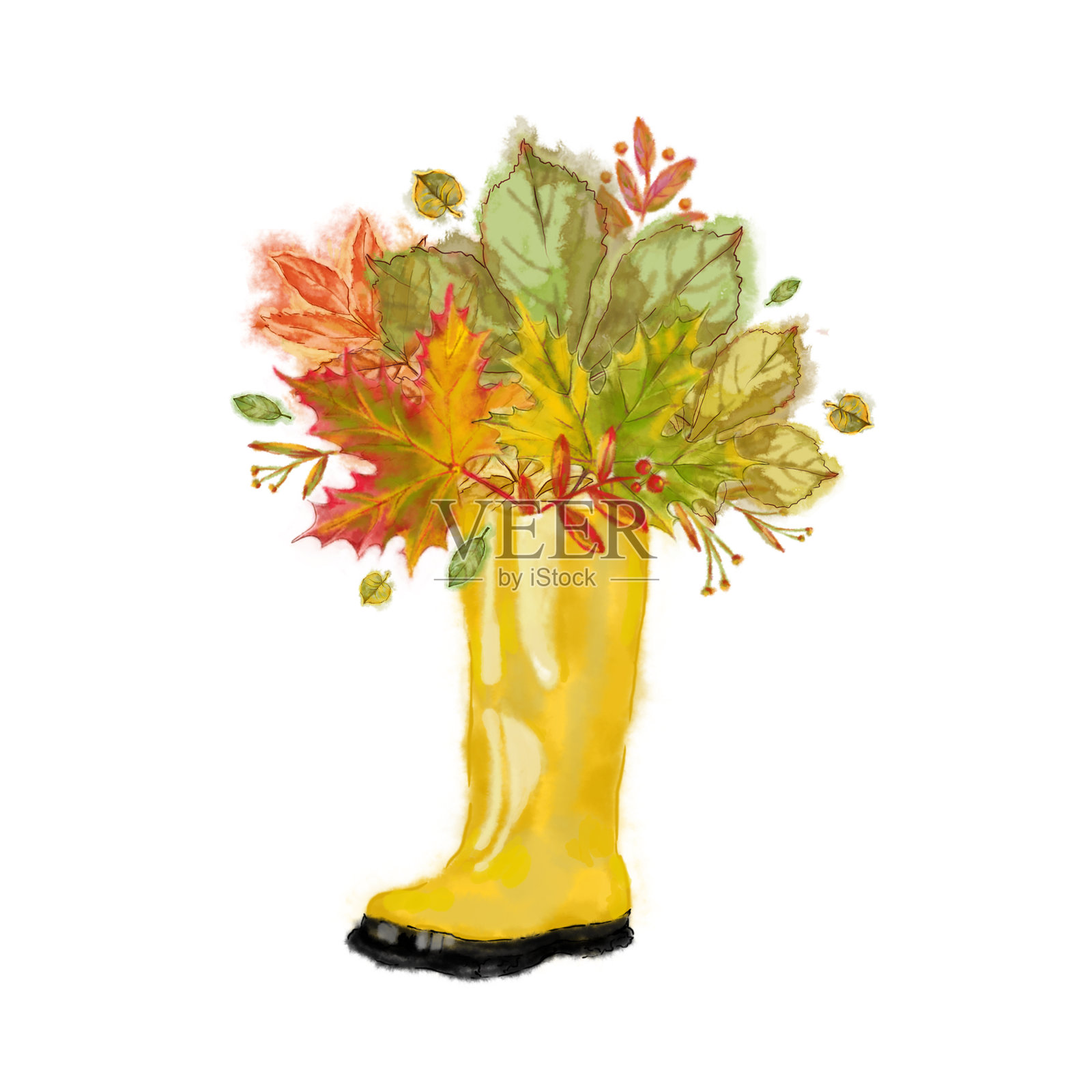 黄色橡胶靴与秋叶排列。插画图片素材