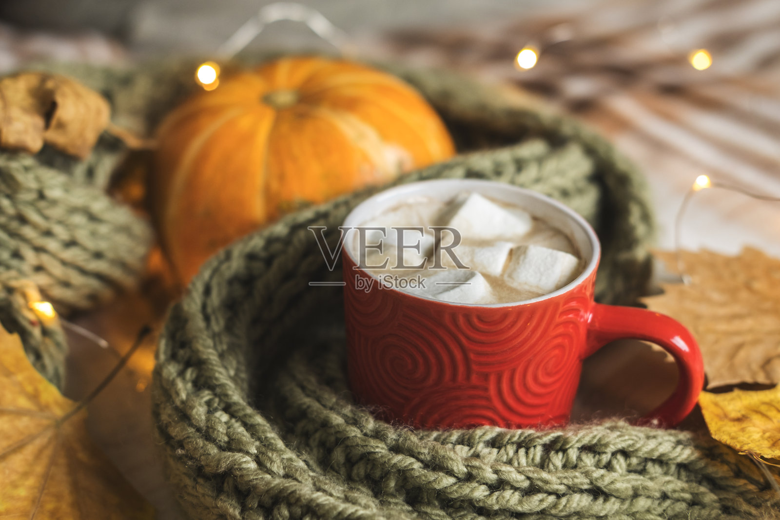 秋天的静物南瓜，树叶，围巾，红色的可可杯，咖啡或热巧克力与棉花糖在温暖的格子花环。舒适的冬季家居环境概念。照片摄影图片