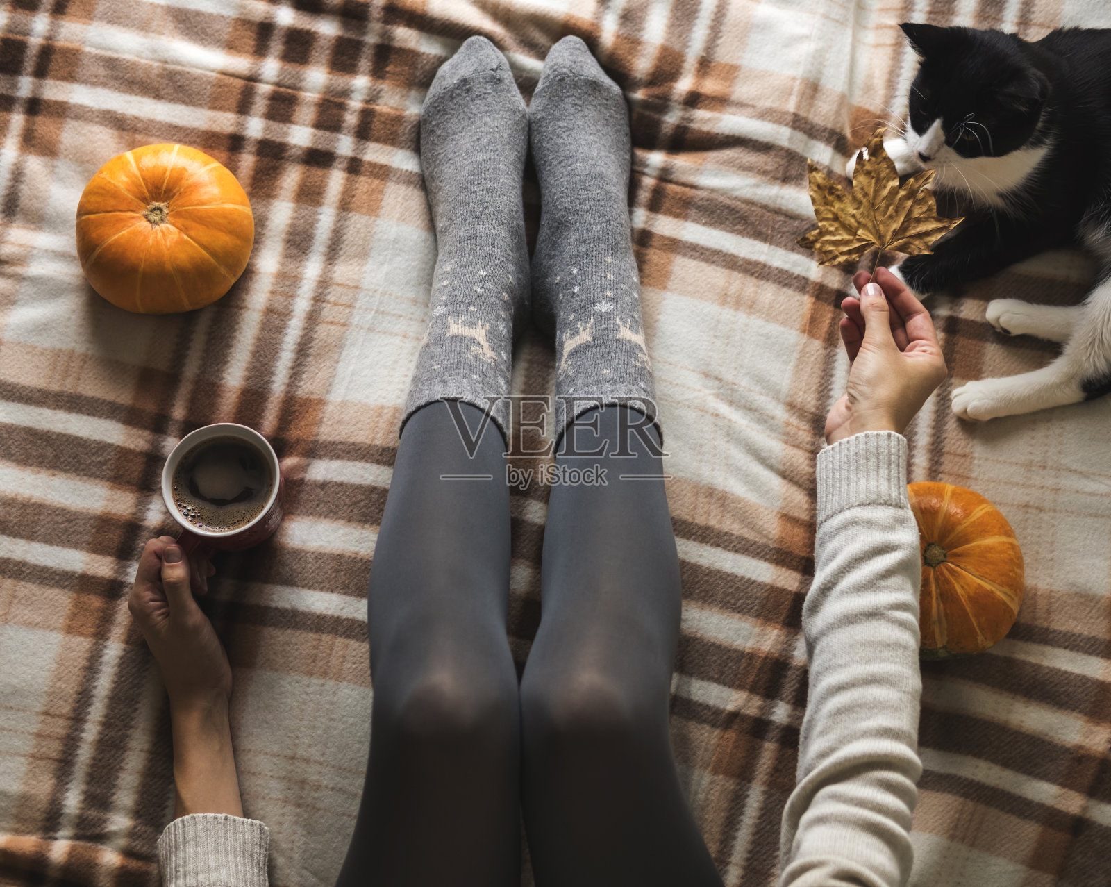 女人的手和脚穿着毛衣和舒适的灰色羊毛袜子，拿着一杯热咖啡，坐在格子上与小猫，南瓜，蜡烛和树叶。概念冬季舒适，清晨畅饮。照片摄影图片