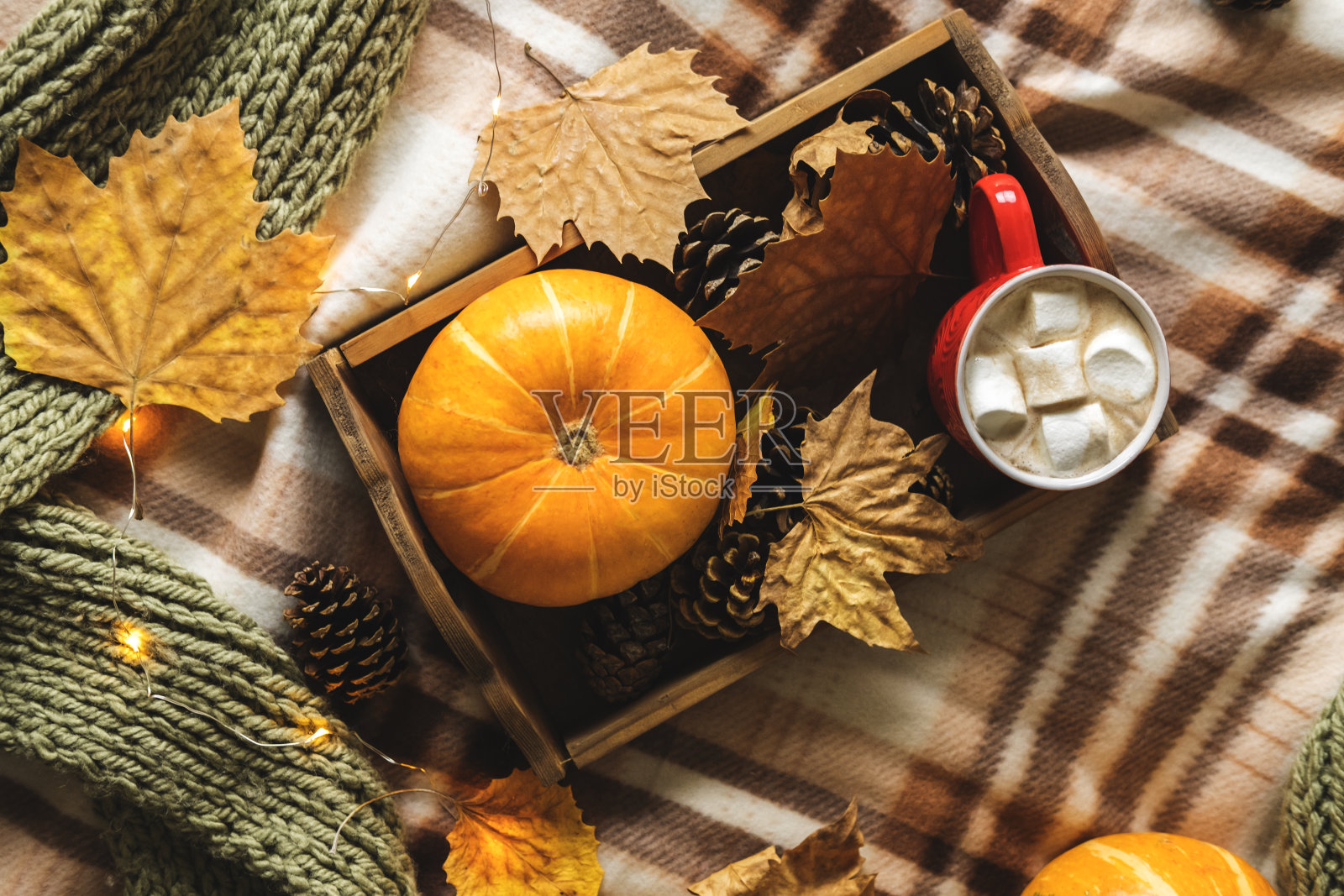 秋天的静物，从装满南瓜，树叶，蛋卷，围巾，一杯可可，咖啡或热巧克力与棉花糖花环格子。概念温馨家的舒适。照片摄影图片