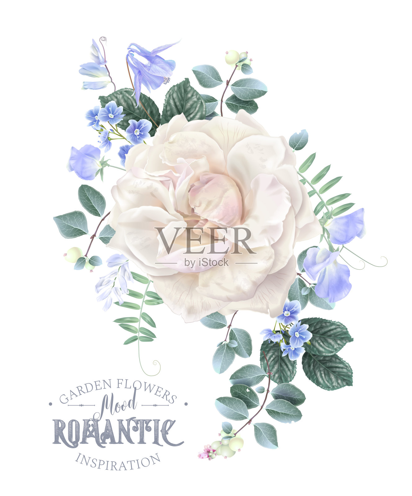 向量卡与白色玫瑰和蓝色的花插画图片素材