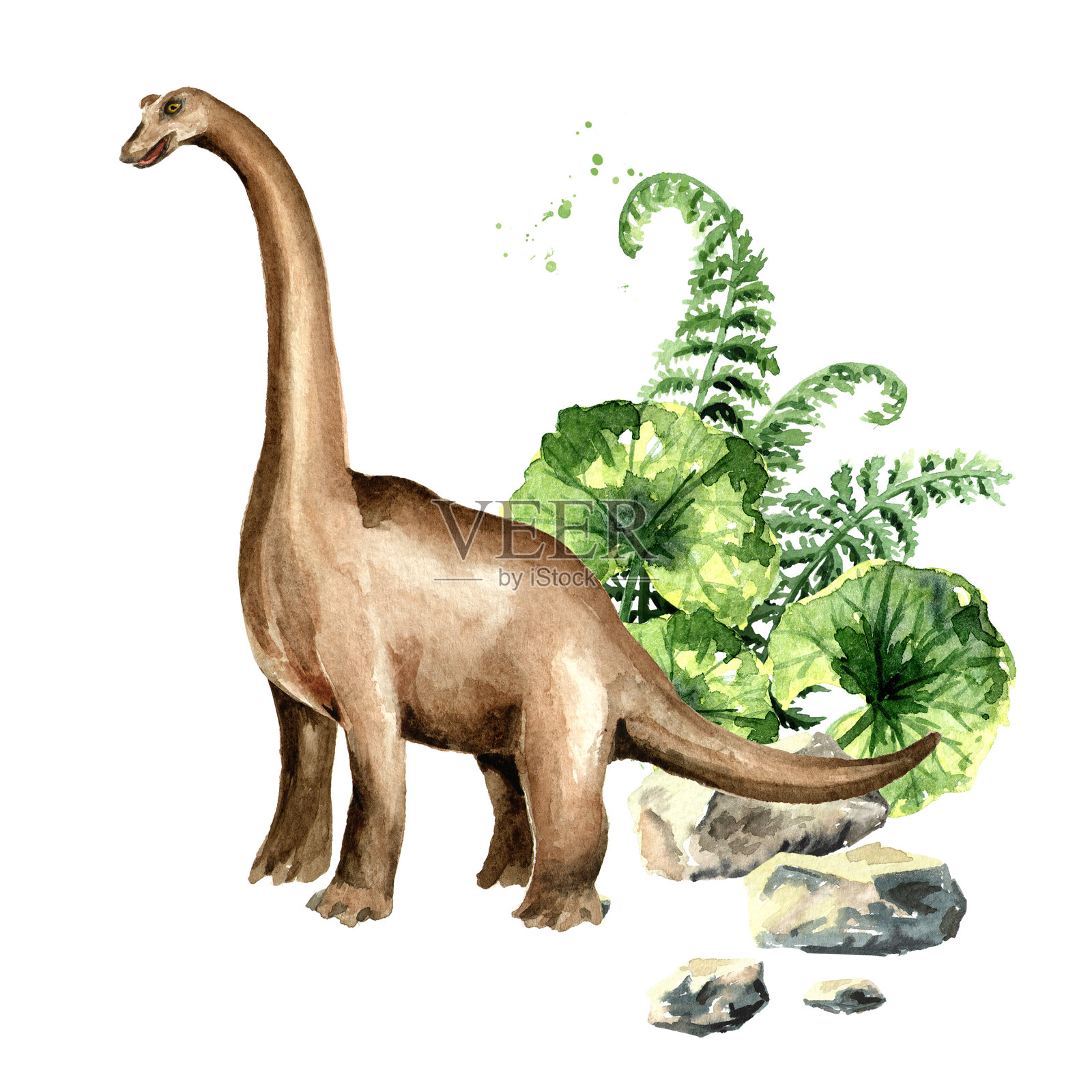 腕龙恐龙和史前植物。水彩手绘插图，孤立的白色背景设计元素图片