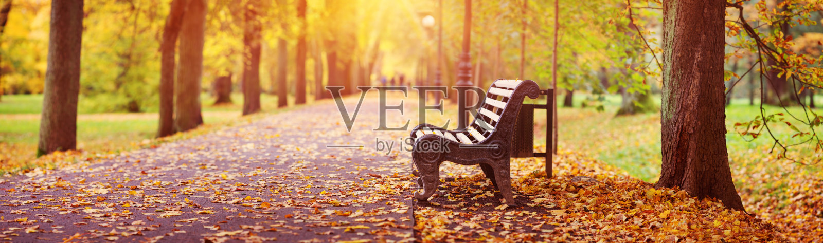 秋天的长椅，阳光充足照片摄影图片