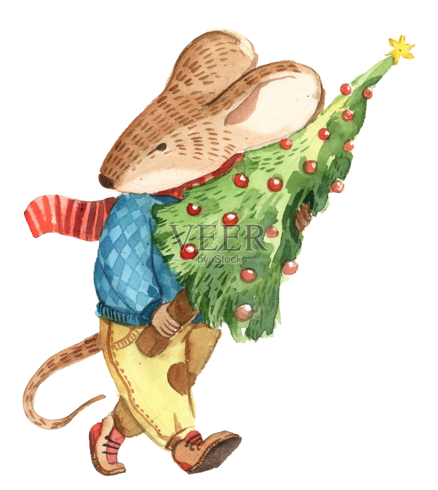 一只老鼠穿着蓝色的毛衣，红色的围巾和棕色的裤子拿着圣诞树和红色的球插画图片素材