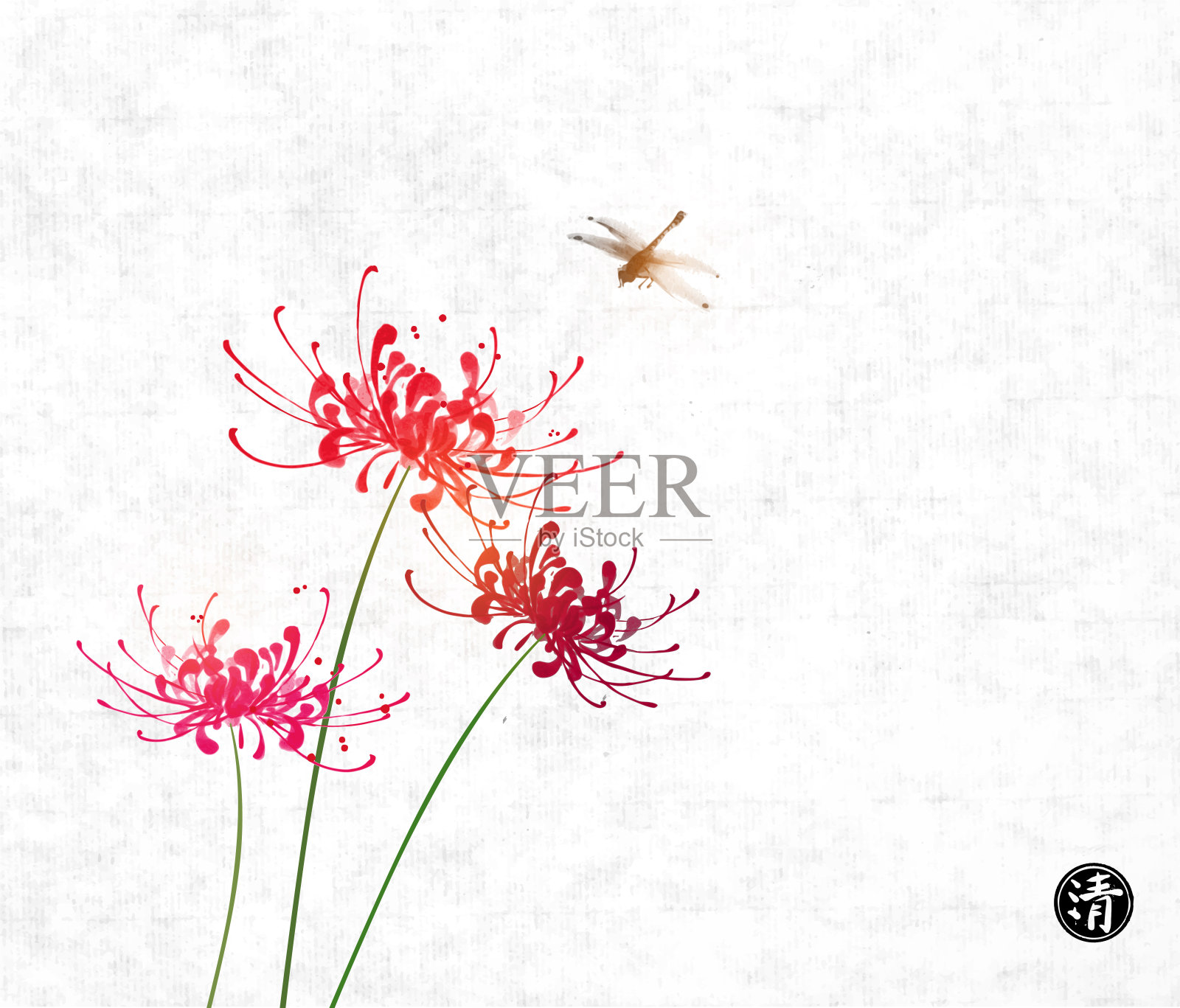 三朵红菊花和蜻蜓在宣纸背景上。象形文字,清晰。传统的东方水墨画粟娥、月仙、围棋。插画图片素材