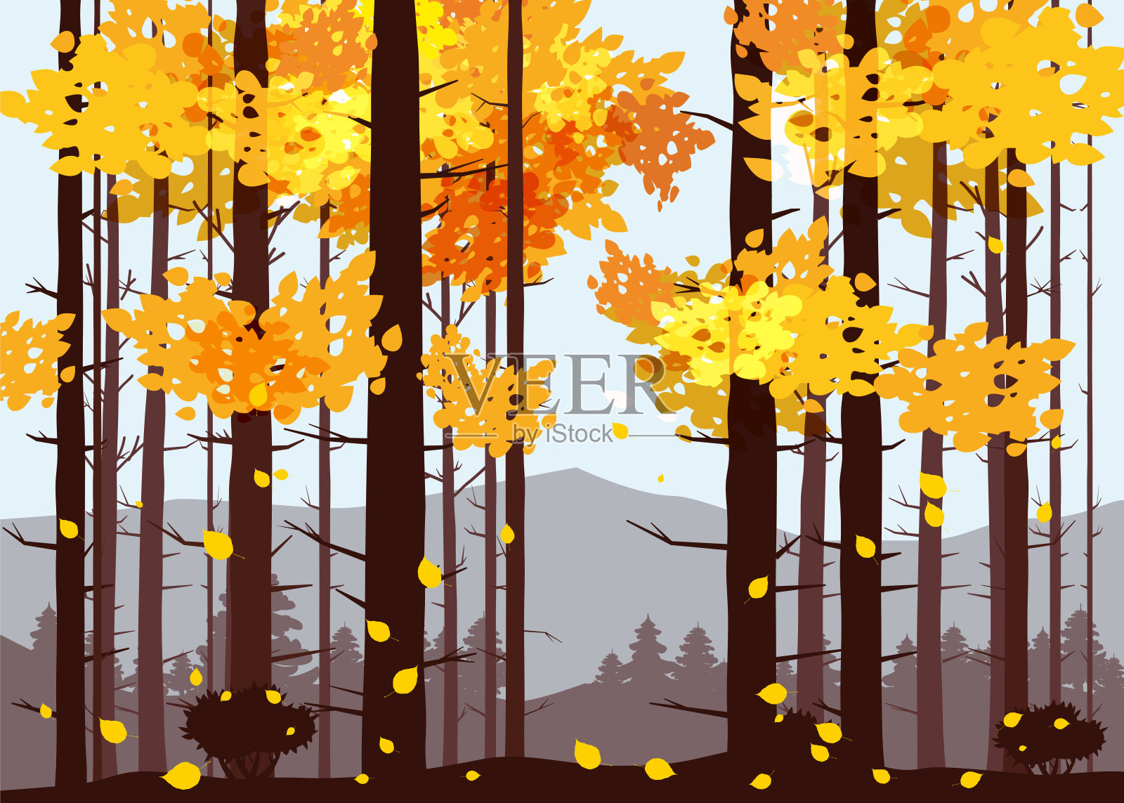 森林，山，秋天，松树的剪影，秋天，冷杉，全景，地平线，矢量，插图，孤立插画图片素材