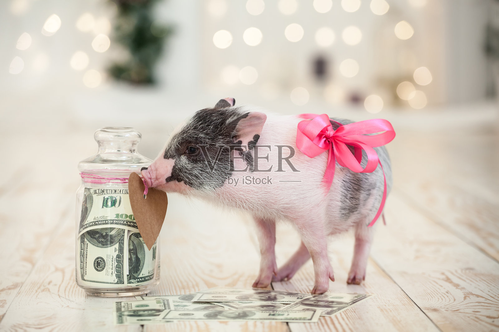 玻璃钱罐和粉红色蝴蝶结小猪新年，圣诞节。象征着新年和祝福照片摄影图片