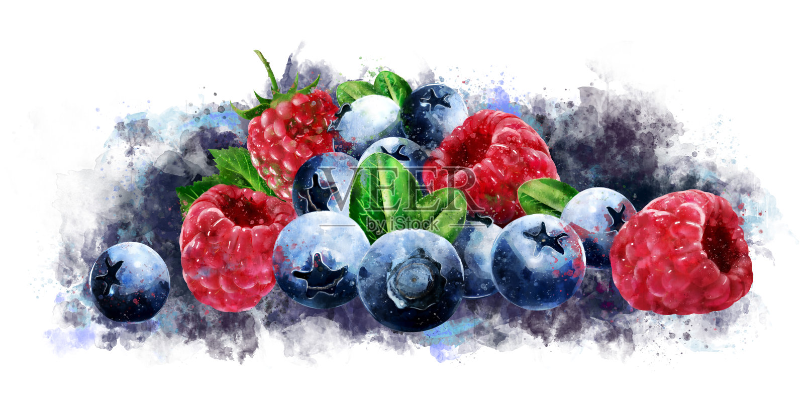 白色背景上的覆盆子，蔓越莓和蓝莓插画图片素材