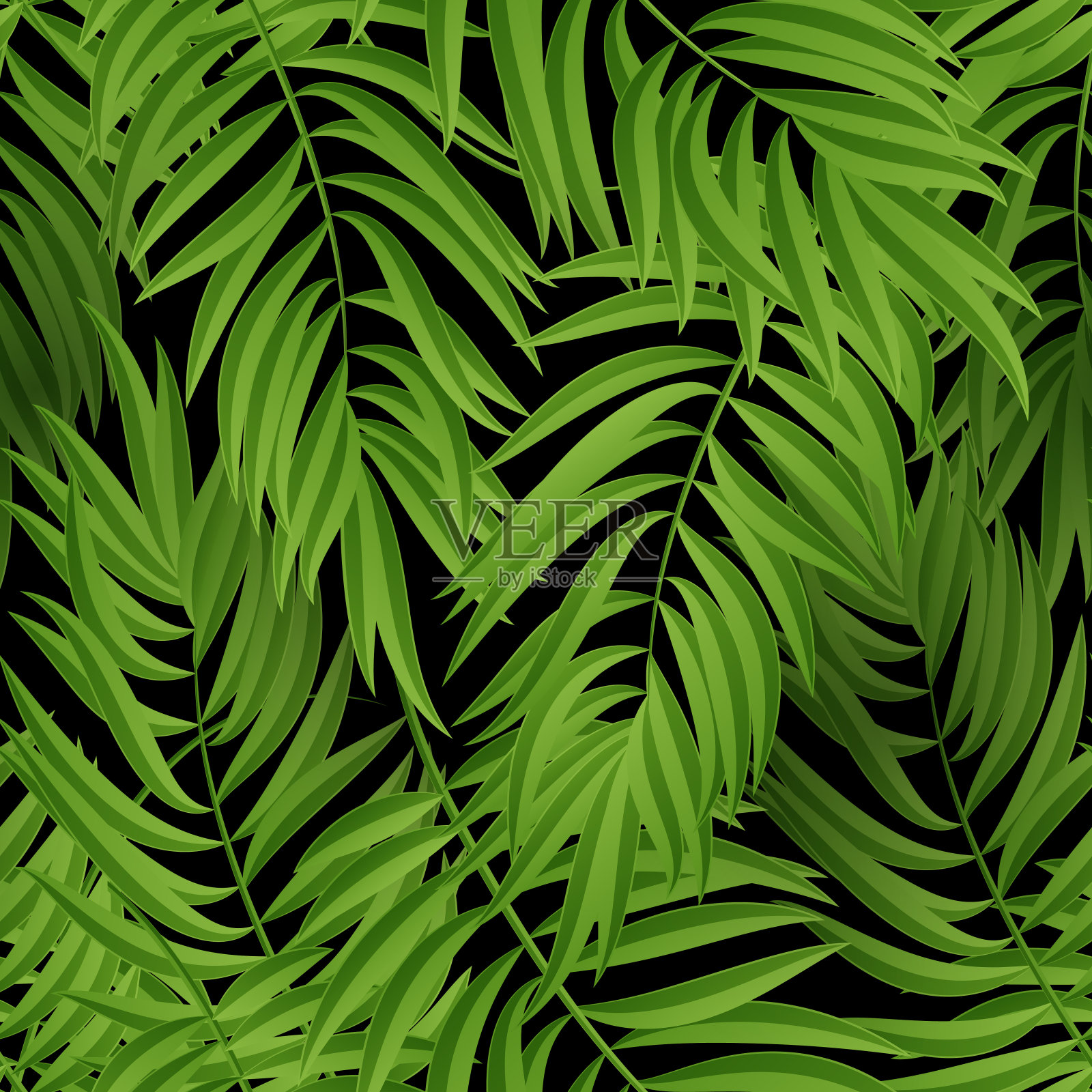 热带棕榈叶。向量无缝插画图片素材