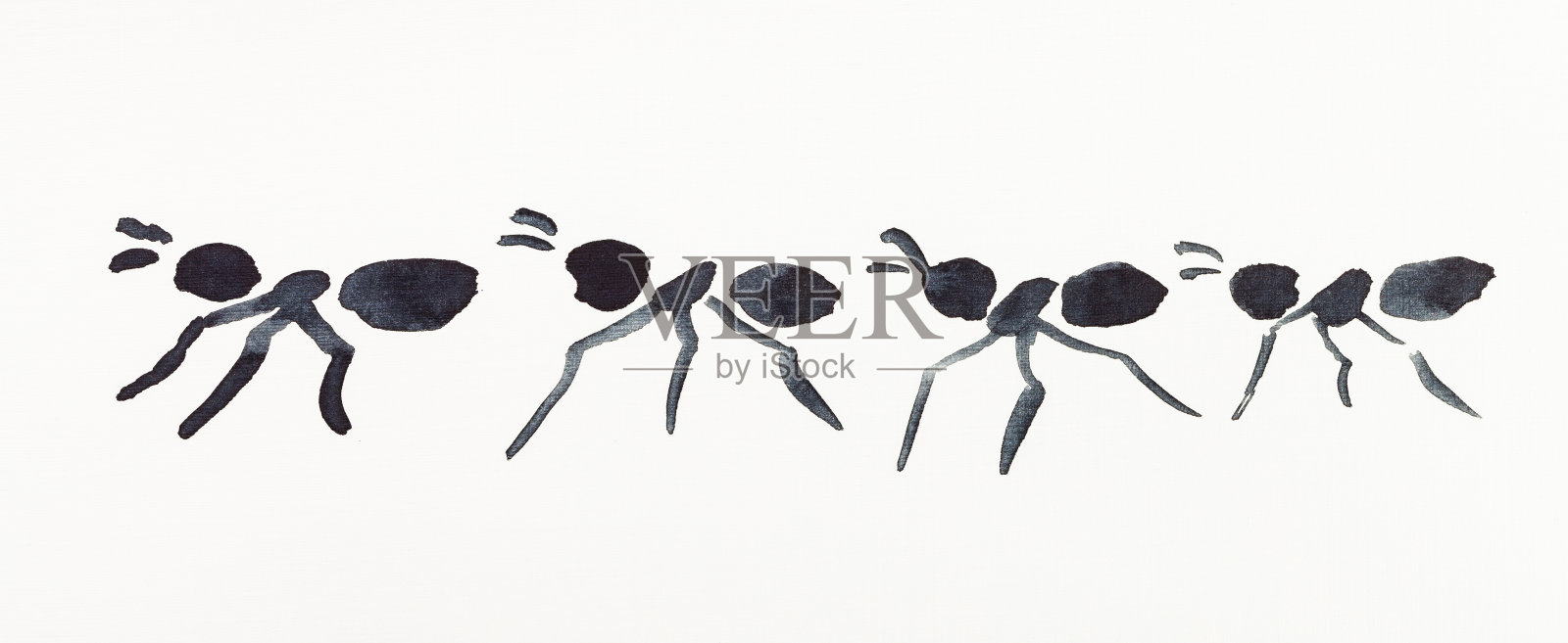 几只蚂蚁被黑色水彩画出来插画图片素材