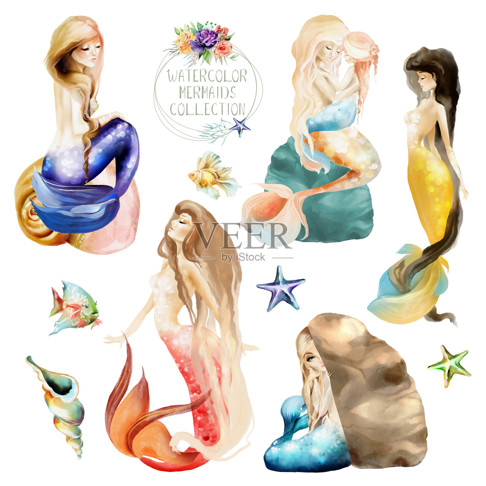 美丽的水彩画美人鱼和美人鱼母亲与鱼和贝壳插画图片素材