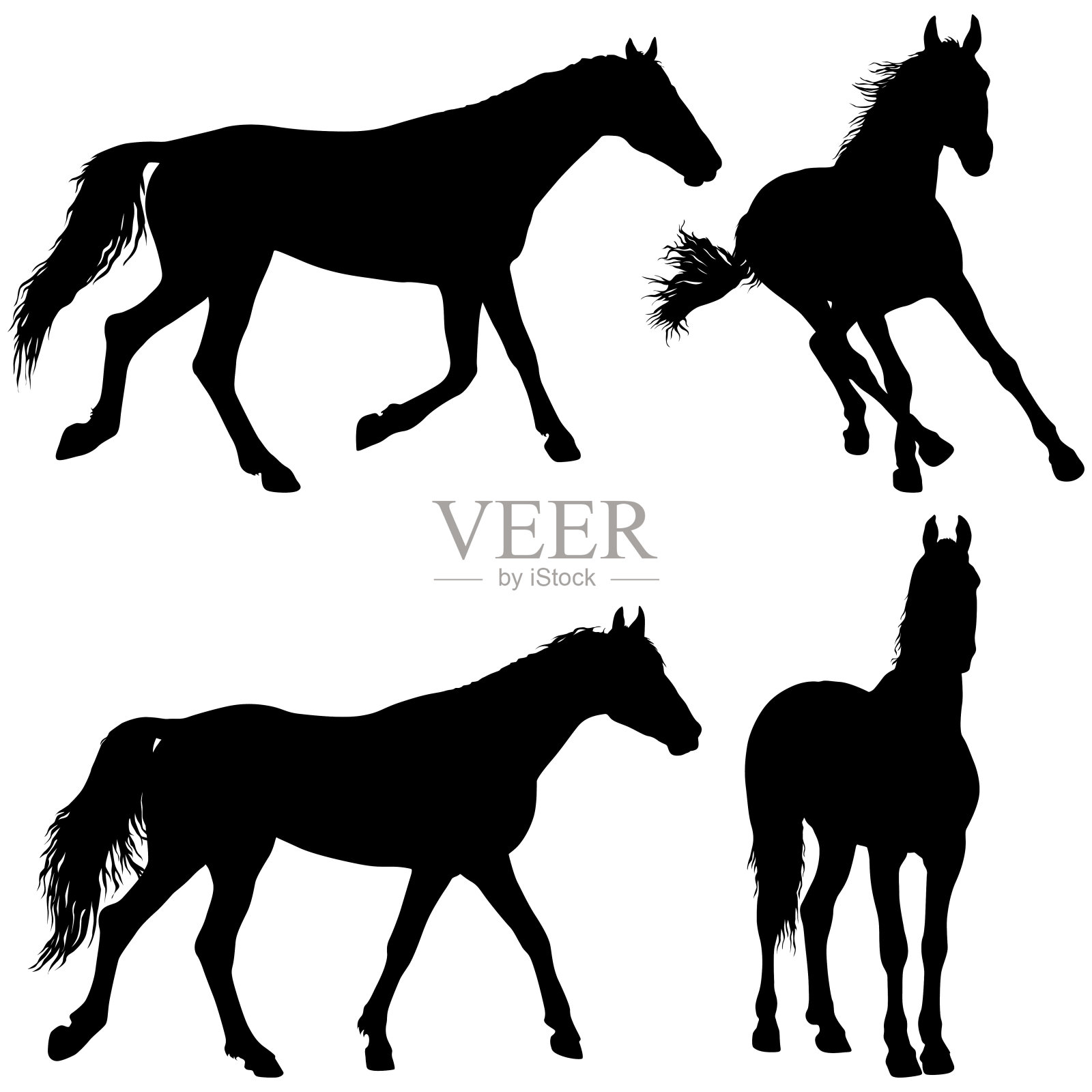 设置动物剪影的黑色野马马插图插画图片素材