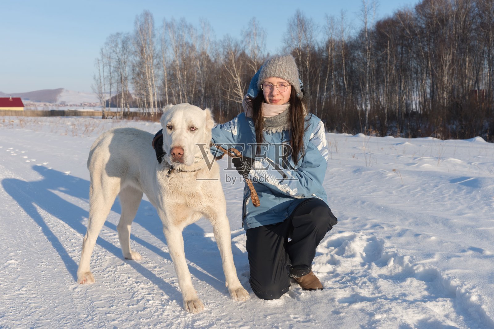 女孩和一条白色的大牧羊犬坐在森林中的路边。照片摄影图片