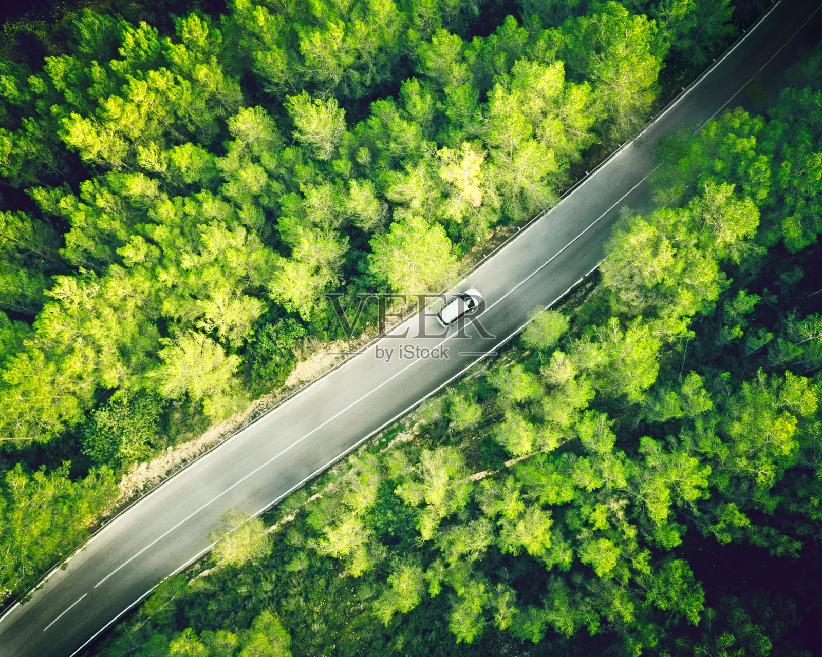 鸟瞰图的两车道笔直的道路在森林与一辆白色汽车。照片摄影图片