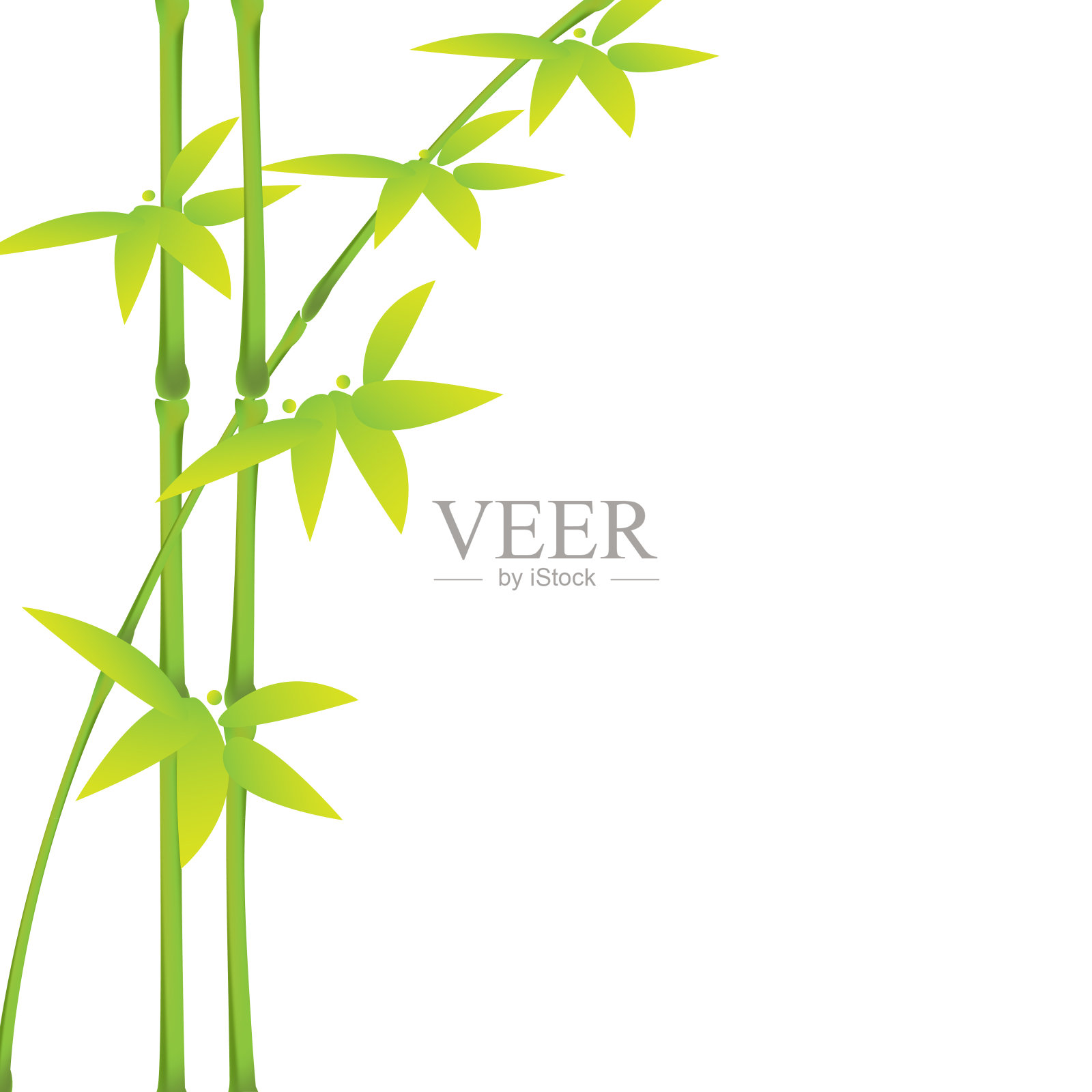 绿色竹茎和叶子在白色的背景与复制空间。矢量插图。eps10插画图片素材