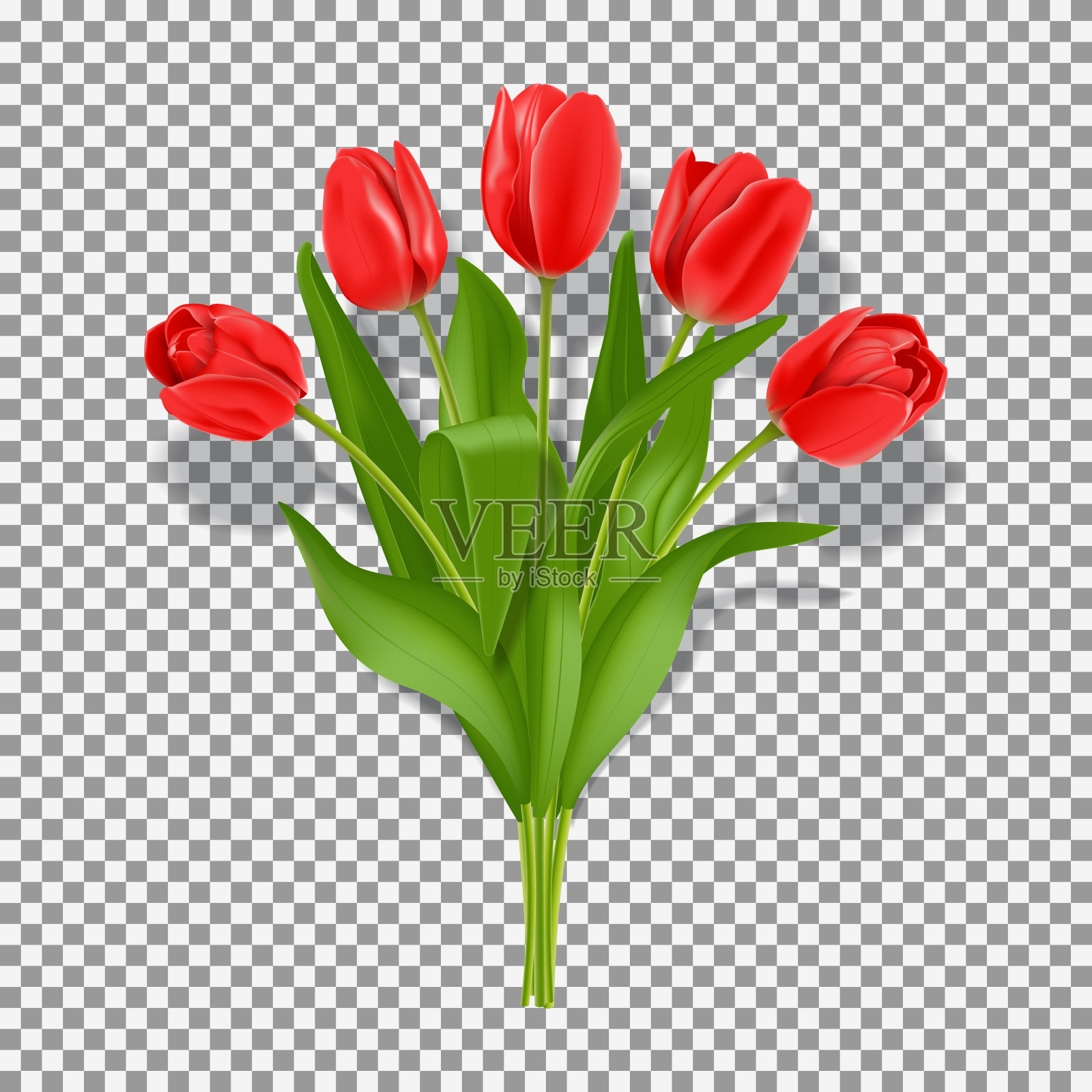 春天红色的郁金香花设计元素图片