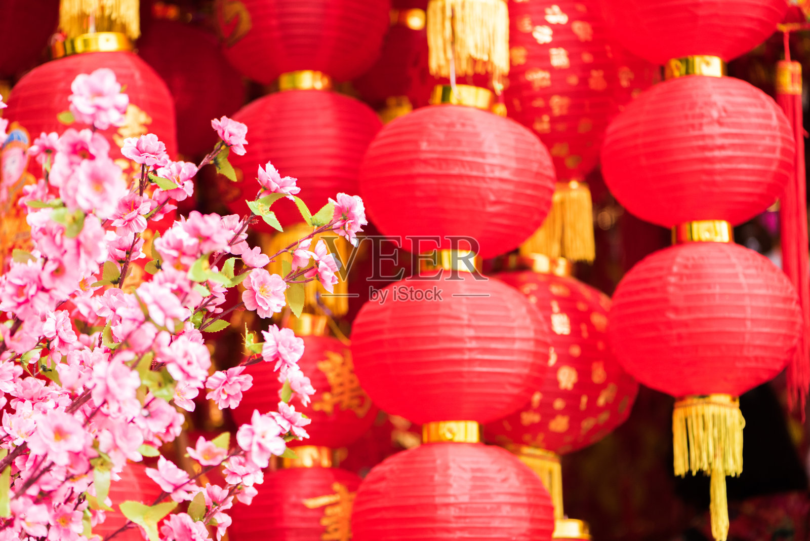 观赏桃花和传统的红色灯笼(中国新年或春节概念)。(上面有不同风格的汉字“福”，意思是“好运”或“祝福”)照片摄影图片