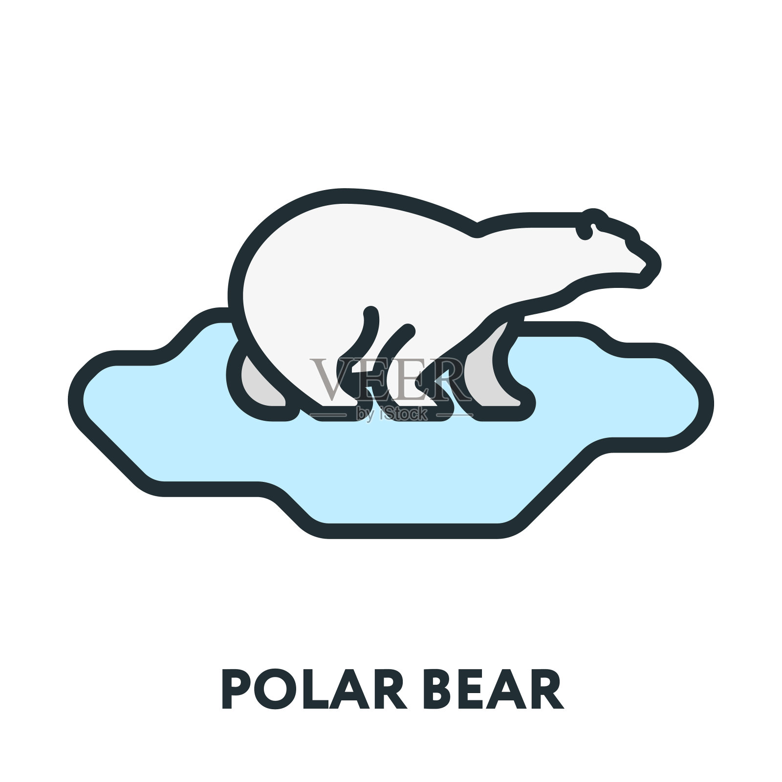 冰上的北极熊。矢量平面线描边图标。设计元素图片