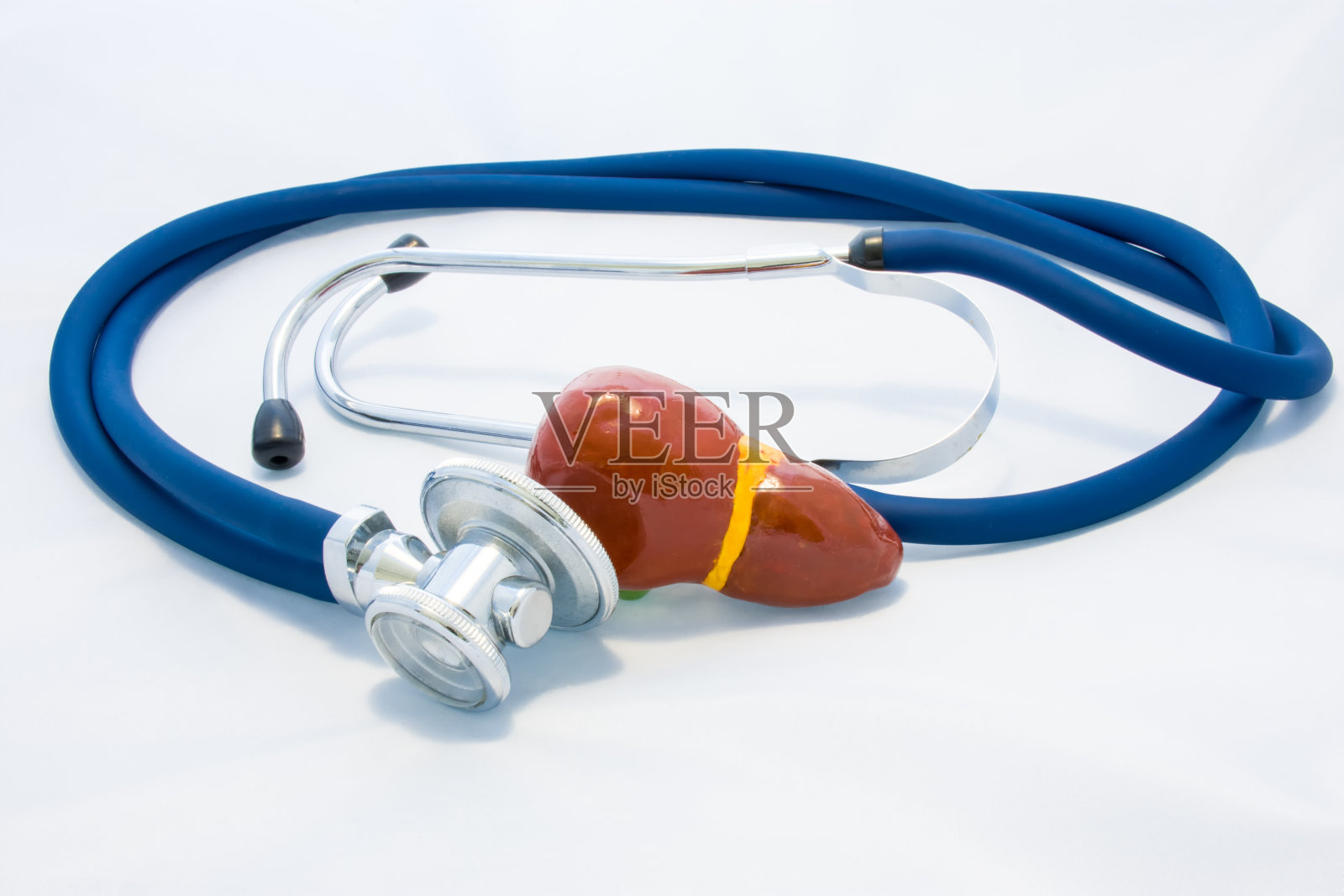 蓝色听诊器在白色背景上环绕肝脏形状。对肝胆系统疾病的影像诊断、防治、术前准备、研究或检测有一定的认识照片摄影图片