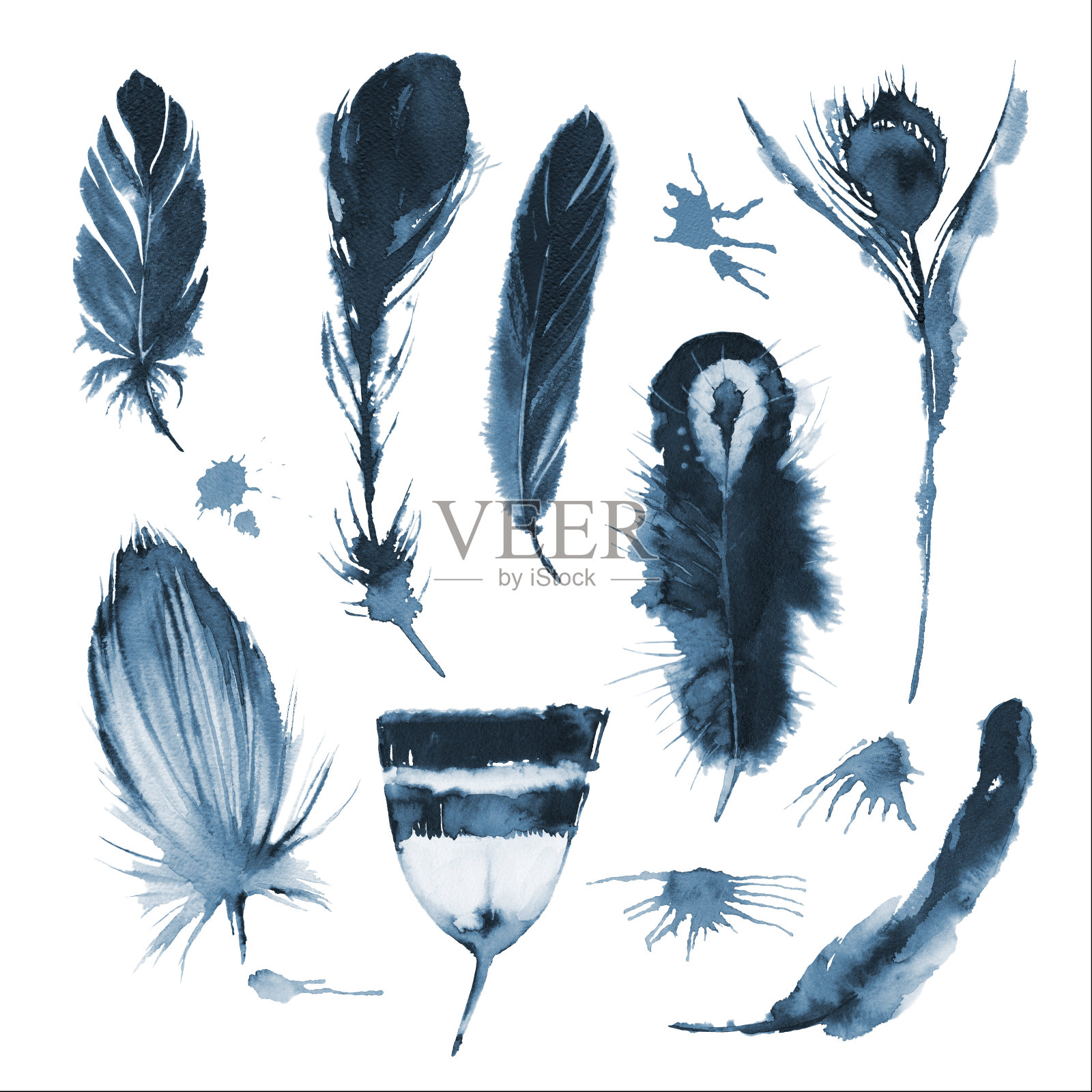 黑白水墨素描的单色图形鸟的羽毛和墨迹。插图。设计元素图片