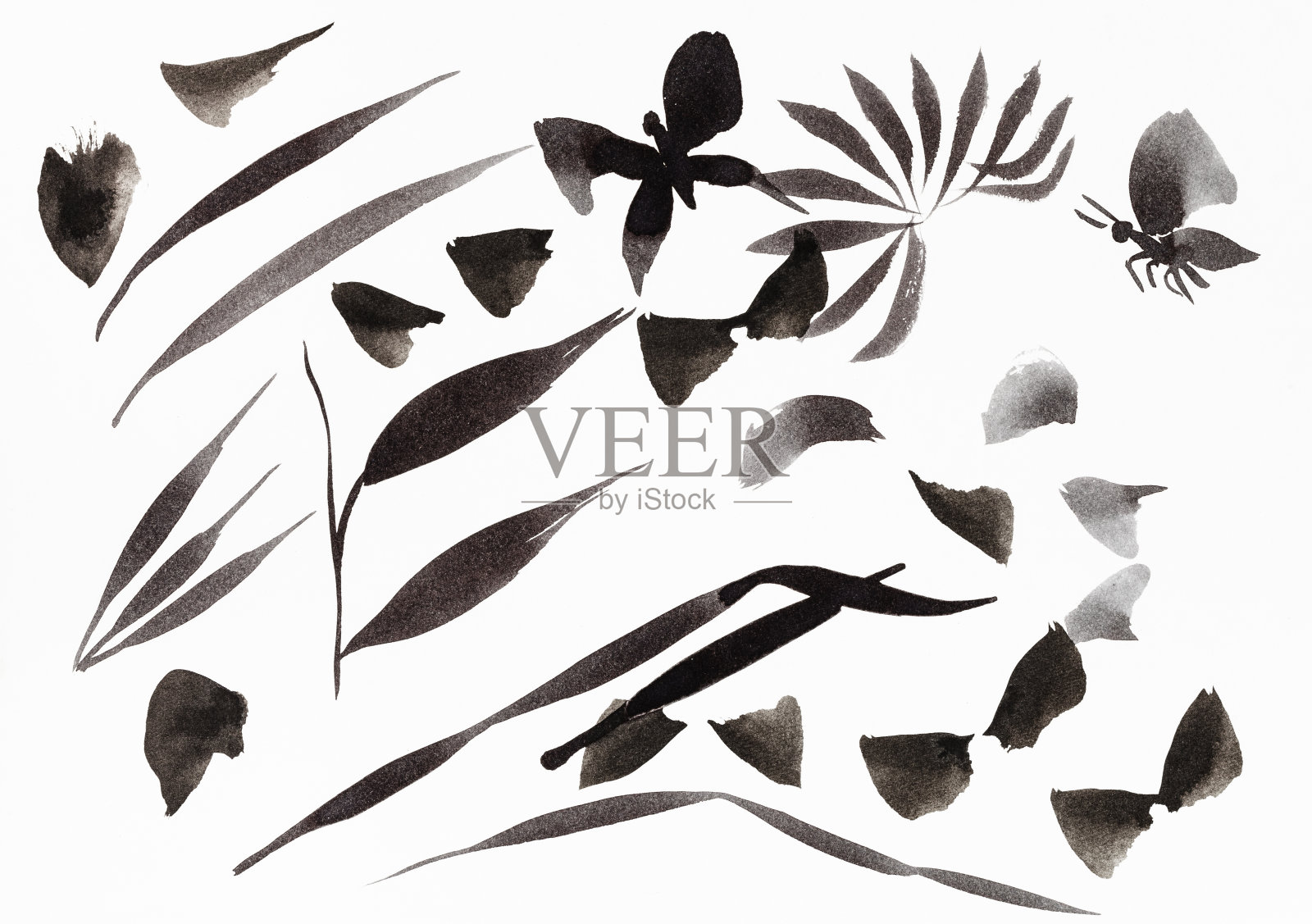训练笔画形成树叶和蝴蝶插画图片素材