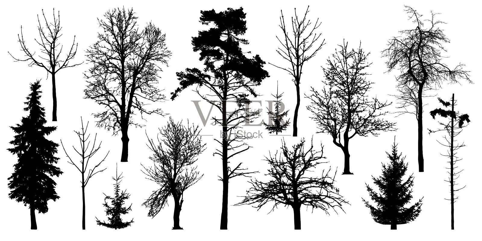 森林里没有叶子的树木。冬季树木设置，剪影向量。Сollection有结的孤立的树干设计元素图片