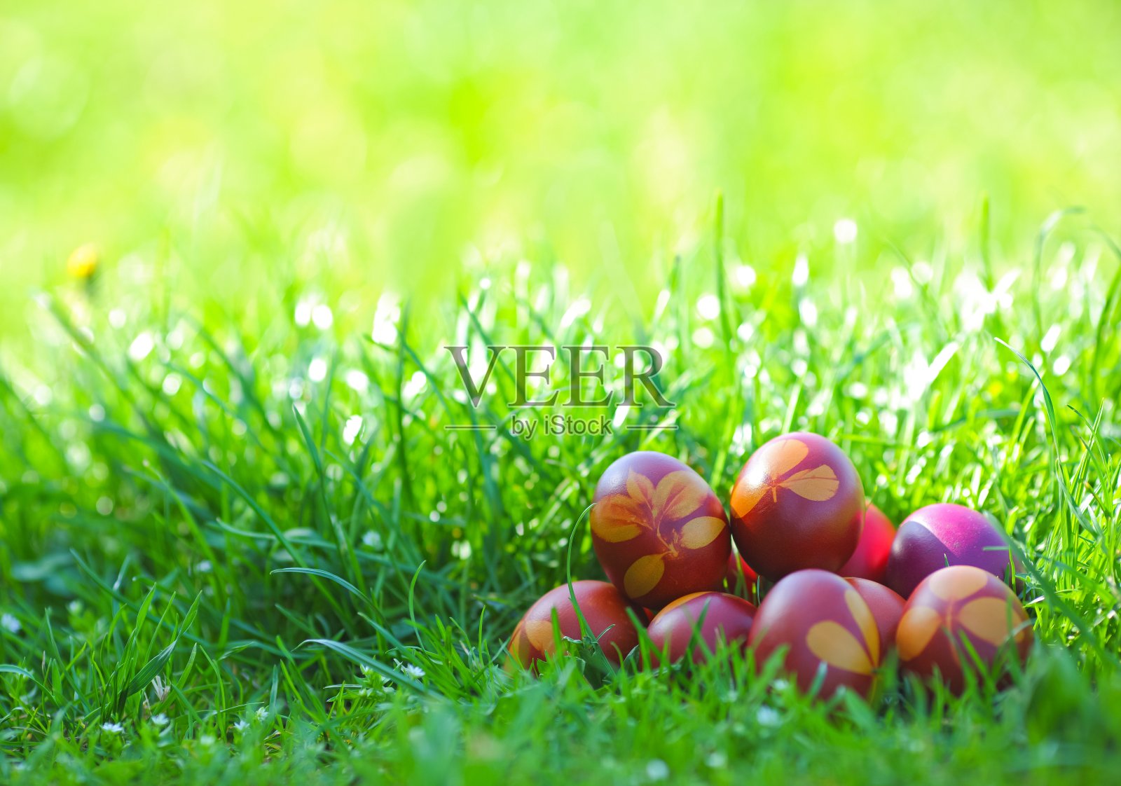 草地上的复活节彩蛋照片摄影图片