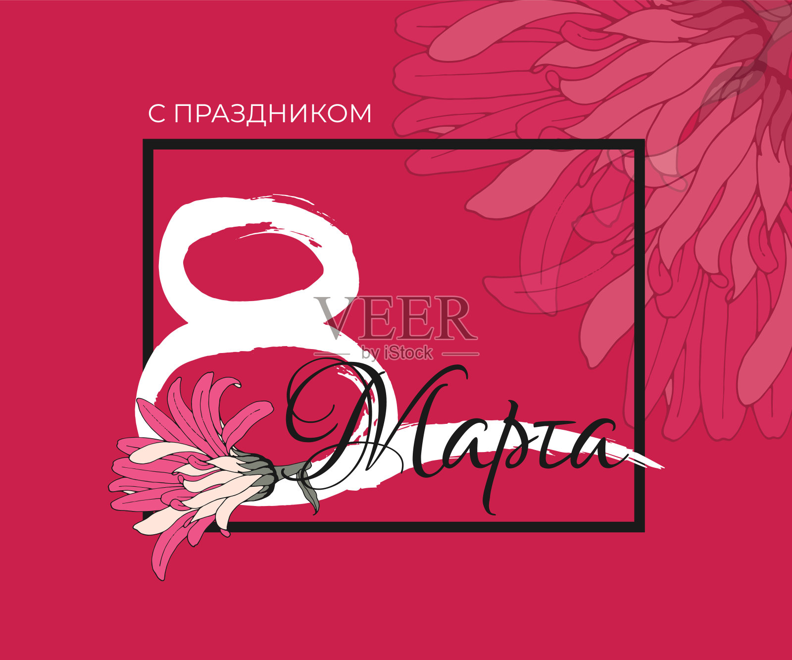妇女节贺卡与手绘数字8和粉红色的花与俄罗斯文字在红色的背景。3月8日字书法为国际女性节日横幅设计插画图片素材