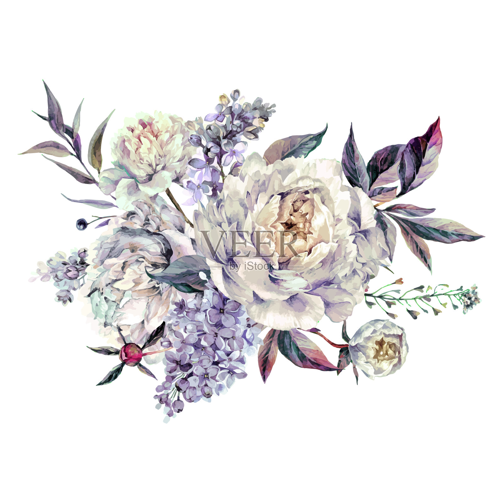 水彩白色牡丹和丁香花束插画图片素材