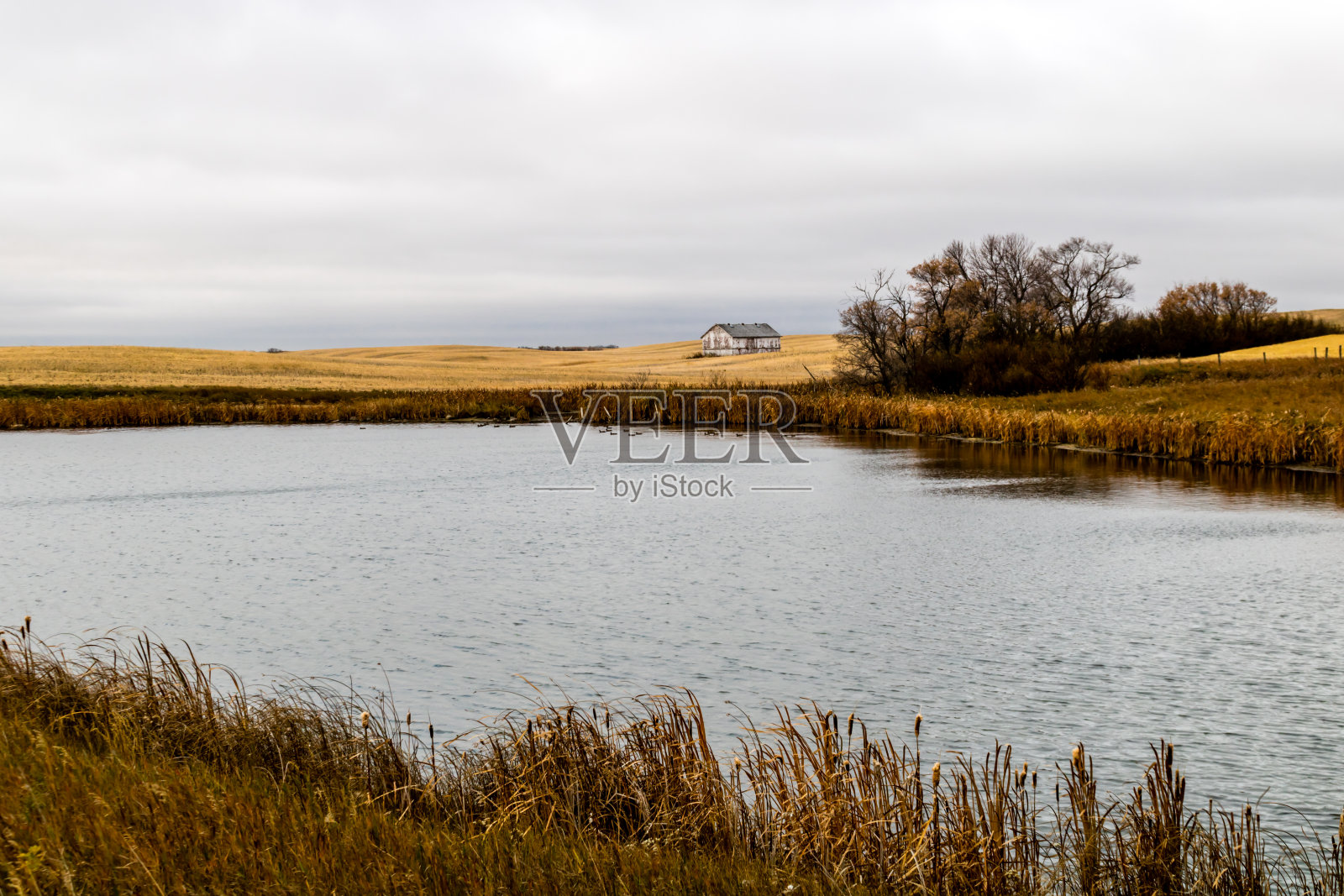 废弃的农场建筑点缀着加拿大萨斯喀彻温省HWY 4公路沿线的景观照片摄影图片