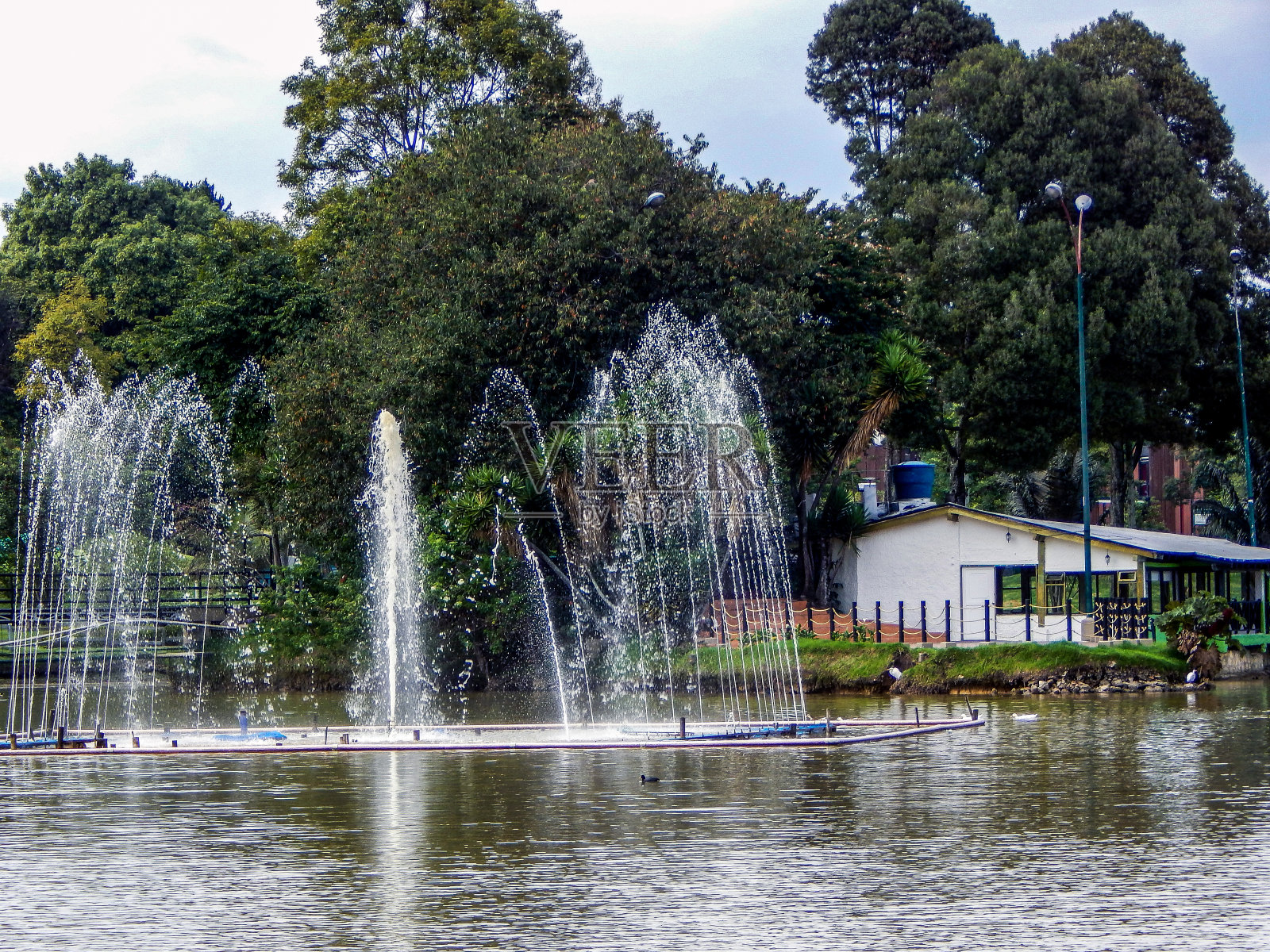 湖和喷泉与树木的背景照片摄影图片