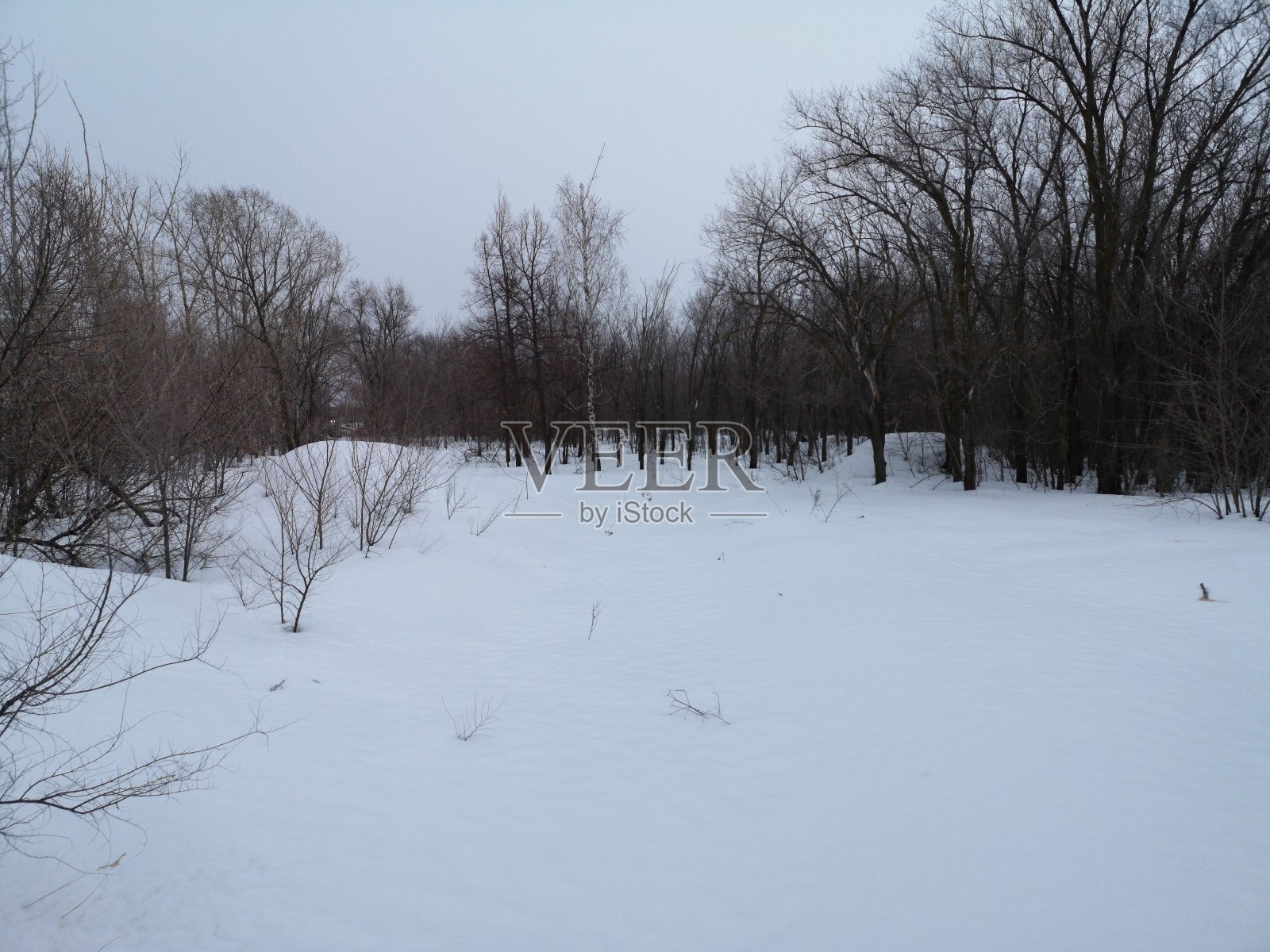 俄罗斯的冬季景观。树木在白雪覆盖的森林与山丘和贫民区照片摄影图片