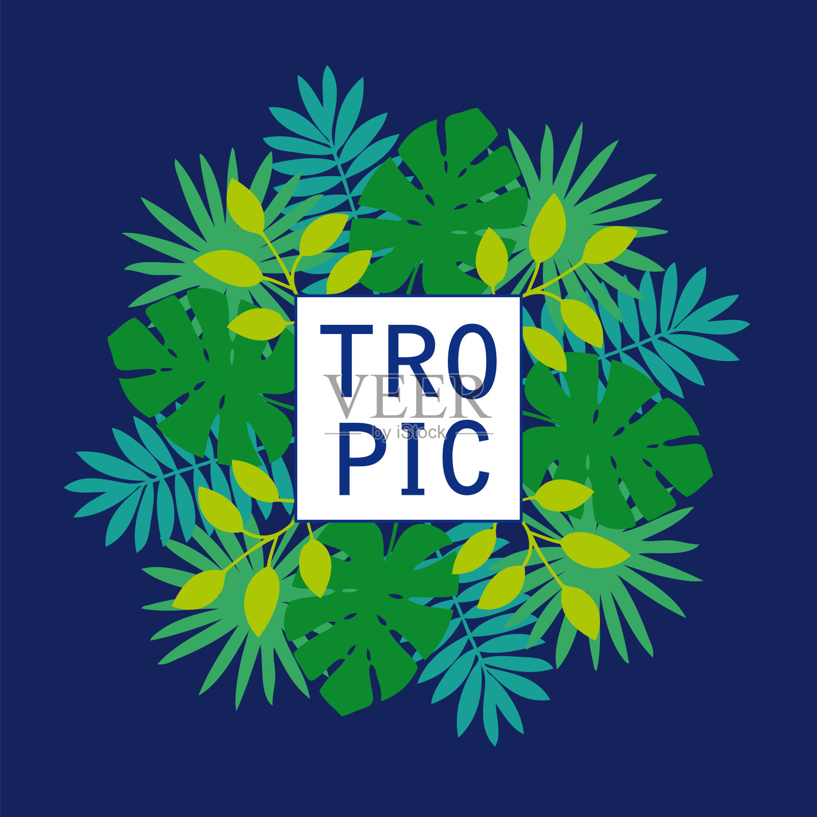 热带怪物和棕榈树的叶子。深蓝色背景的贺卡。插画图片素材