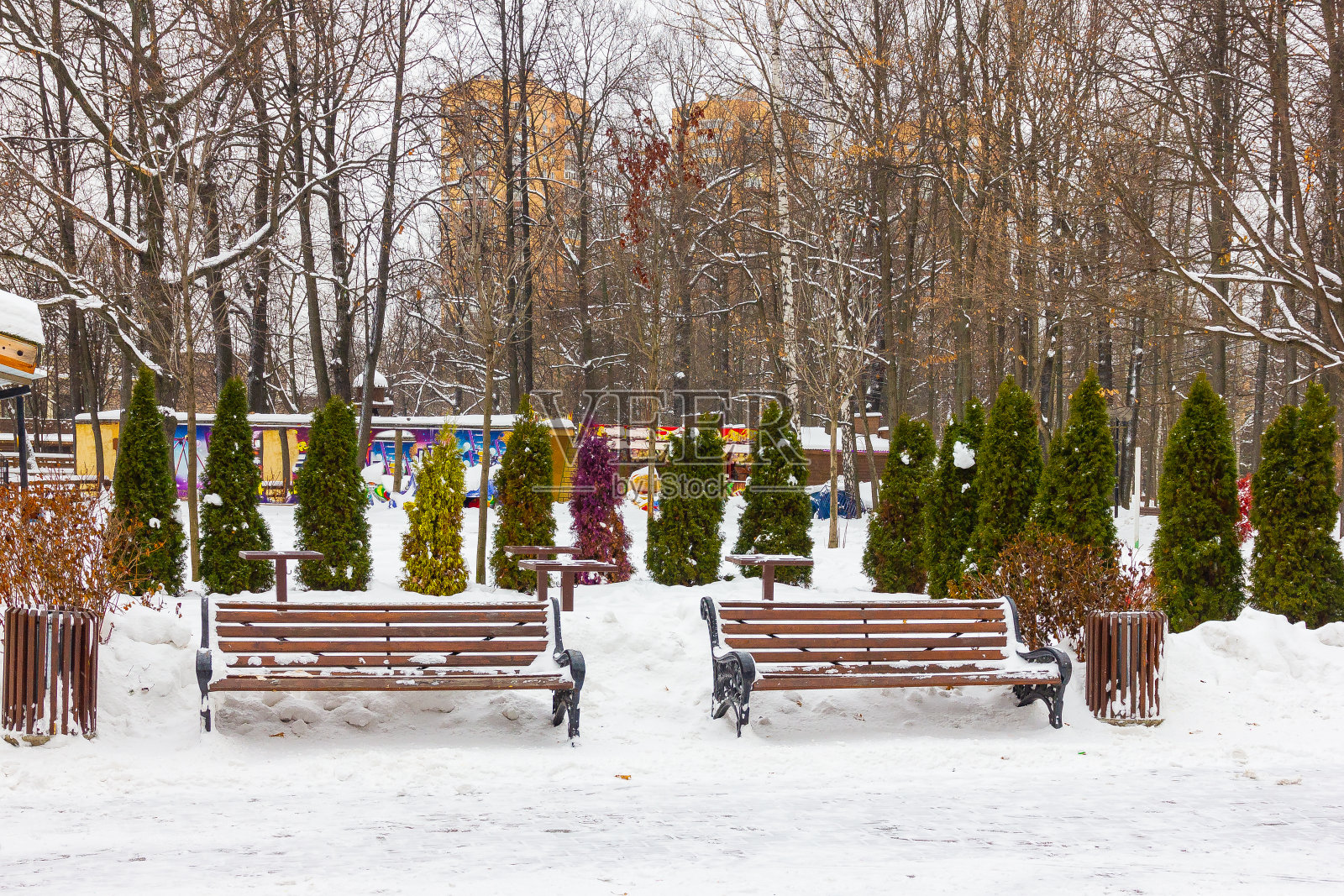 圣诞树和公园长椅照片摄影图片