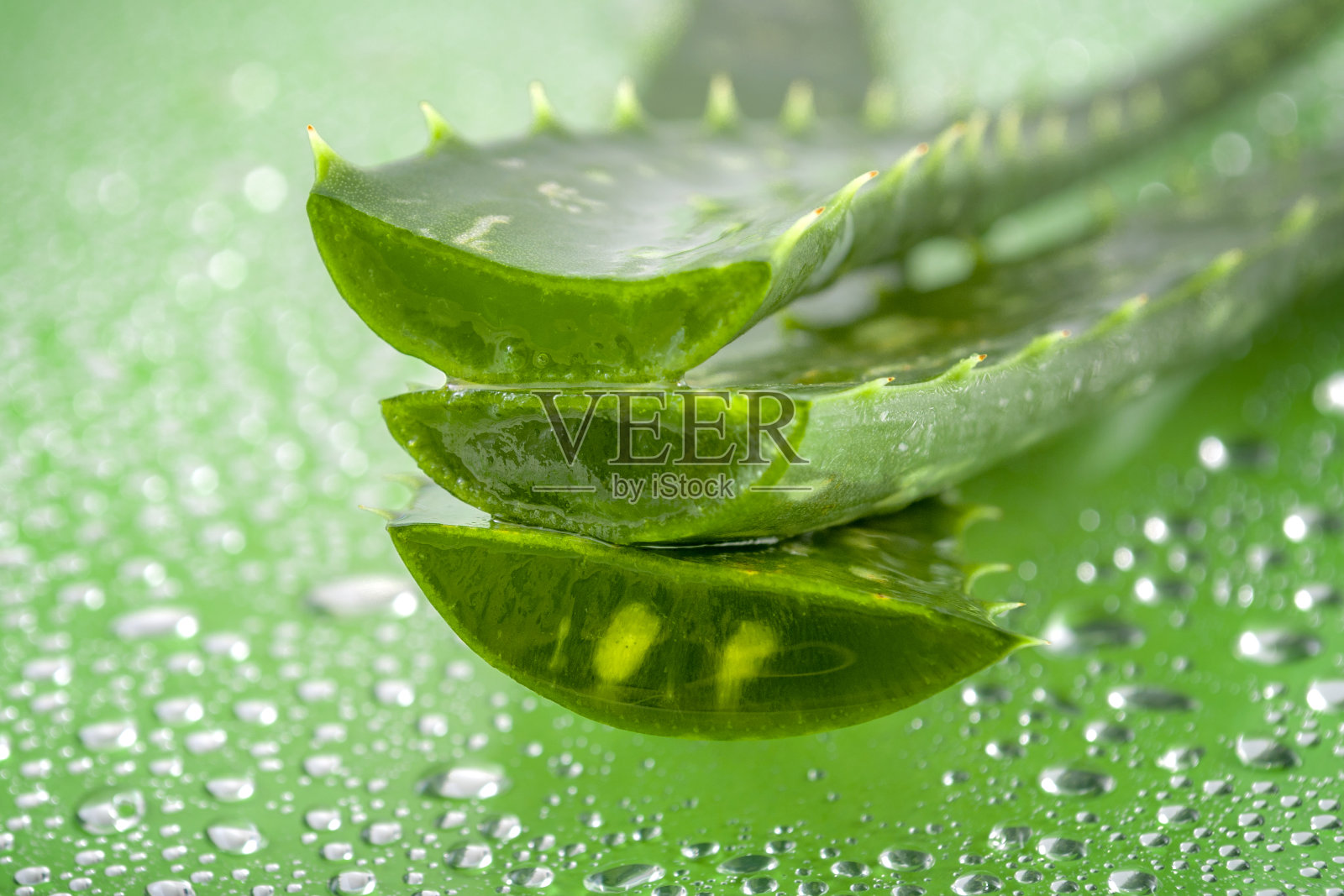 天然美容产品和植物为基础的临床治疗概念与宏观近距离芦荟植物叶子和凝胶孤立在湿绿色背景浸泡在水滴与copyspace照片摄影图片