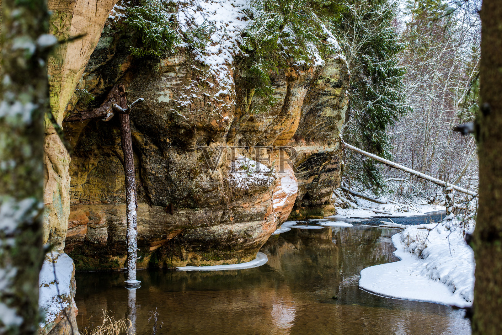冬天的森林景观。河边有悬崖，背景是松树。高加国家公园，拉脱维亚照片摄影图片
