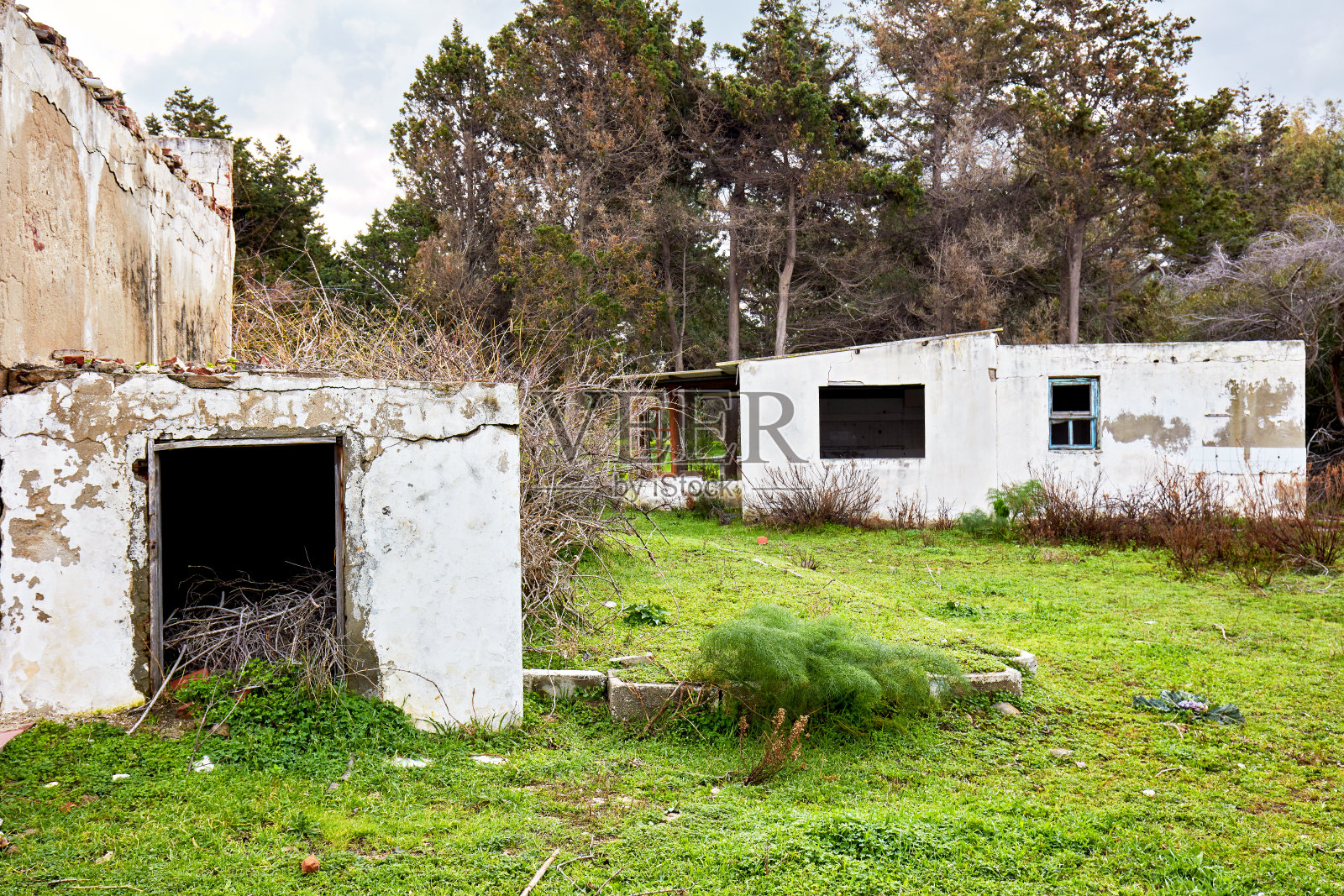 森林中被遗弃的白色复古小屋。照片摄影图片