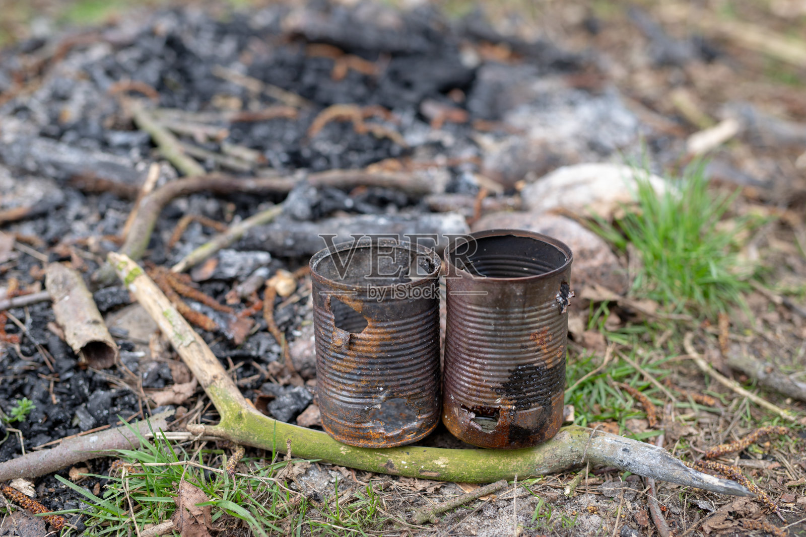 篝火里生锈的旧罐子。在森林中露营的地方。春天的季节。照片摄影图片