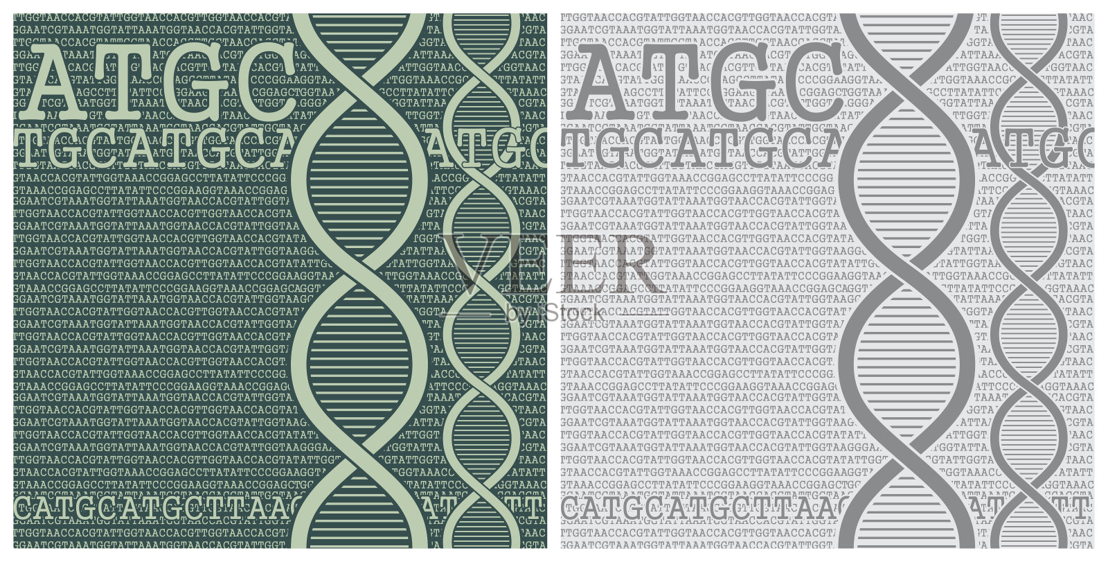 DNA双螺旋结构与核酸碱基背景插画图片素材