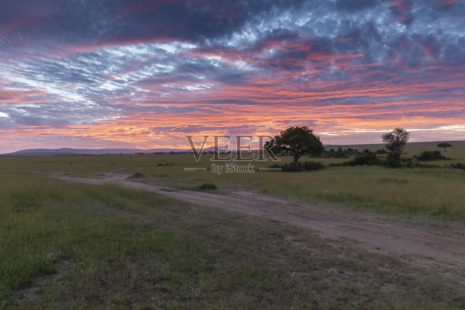 非洲肯尼亚马赛马拉平原上的彩色日出照片摄影图片