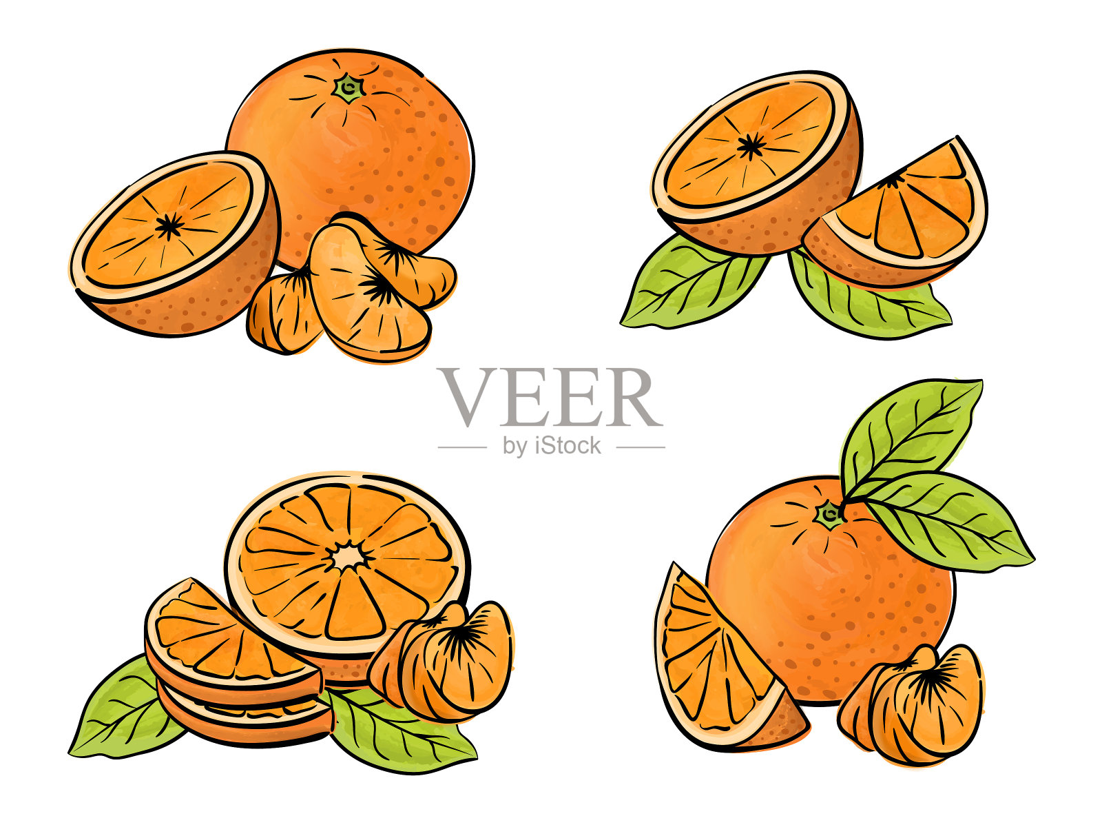 白色上孤立的橙色果实。不同类型的作品。设计元素图片